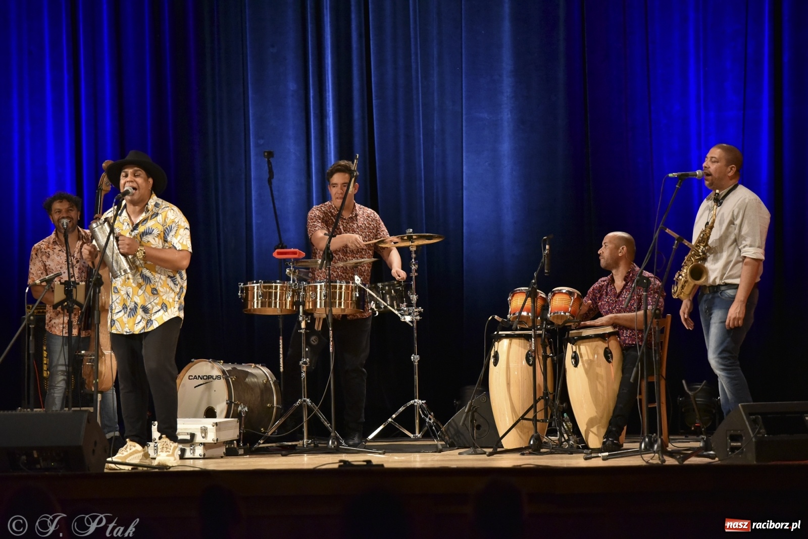 Zdjęcie w galerii na portalu naszraciborz.pl: Juanky&Sabrosura Viva. Kubańskie rytmy rozgrzewały raciborzan wiadomości z regionu