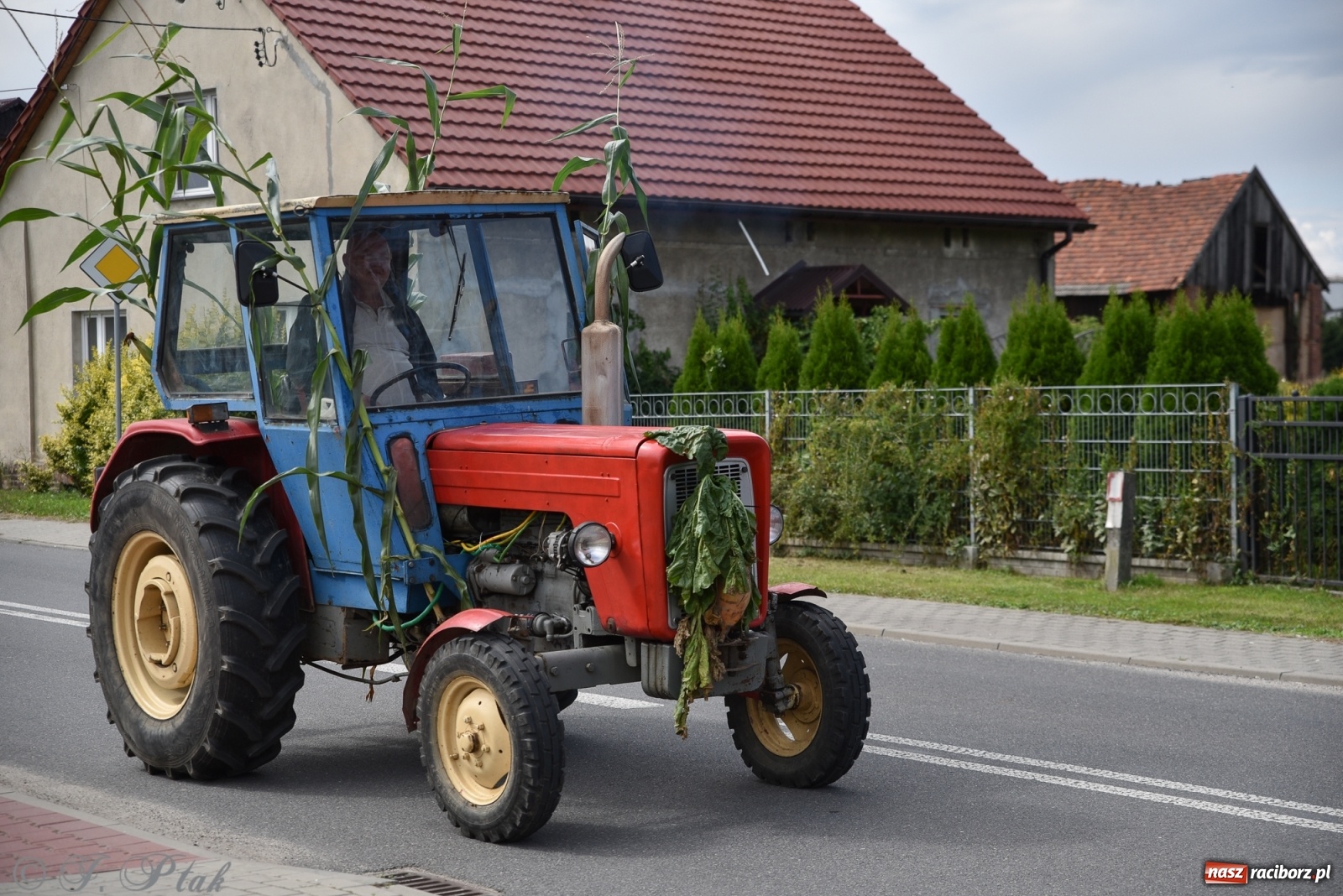 Zdjęcie w galerii na portalu naszraciborz.pl: Ciężki sprzęt i rowery. Dożynki w Szonowicach i Modzurowie wiadomości z regionu