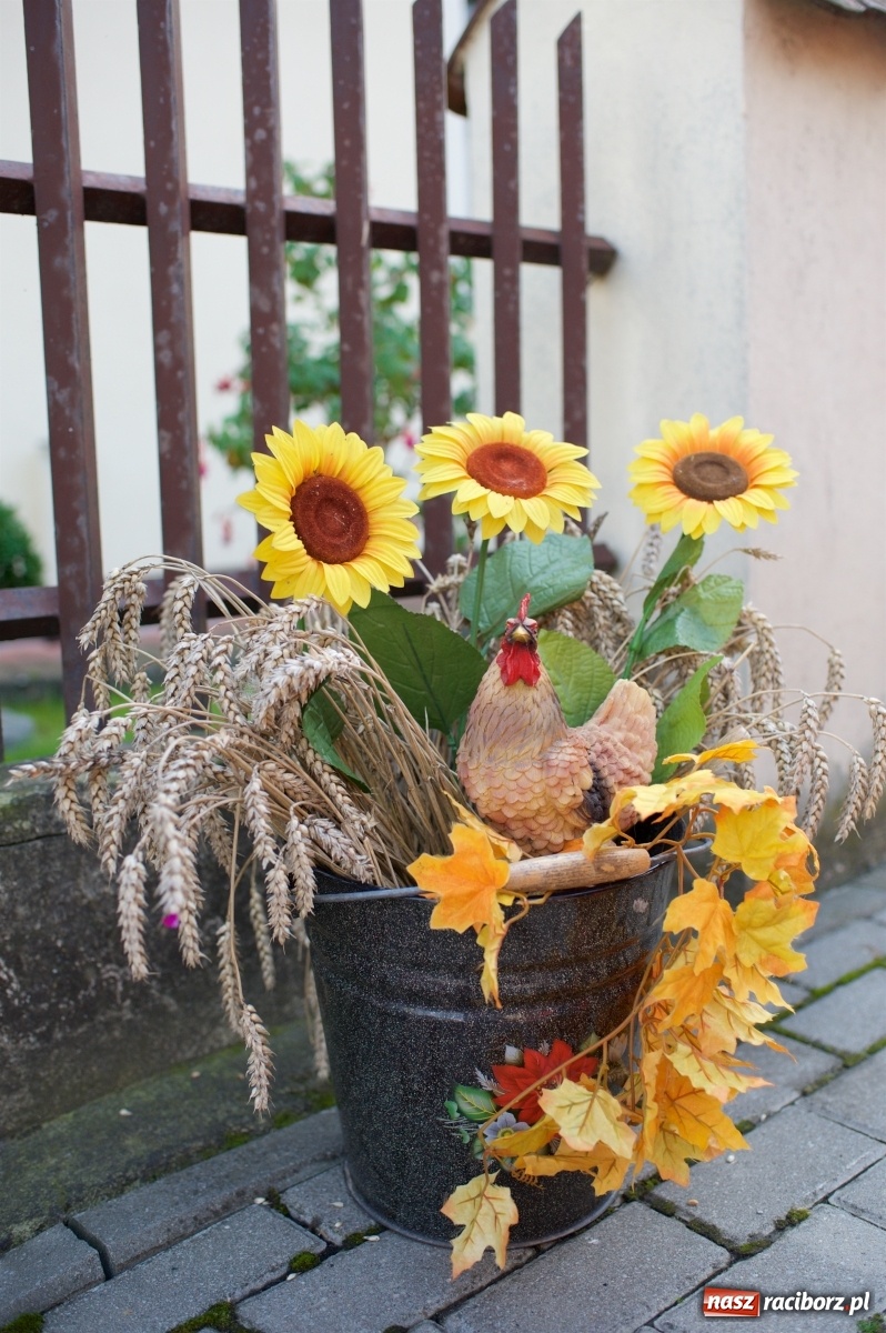 Zdjęcie w galerii na portalu naszraciborz.pl: Wody mamy dużo! Dożynki w Krzyżanowicach 2021 wiadomości z regionu