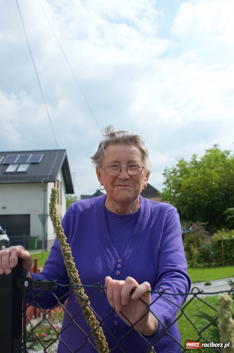 Zdjęcie w galerii na portalu naszraciborz.pl: Wody mamy dużo! Dożynki w Krzyżanowicach 2021 wiadomości z regionu