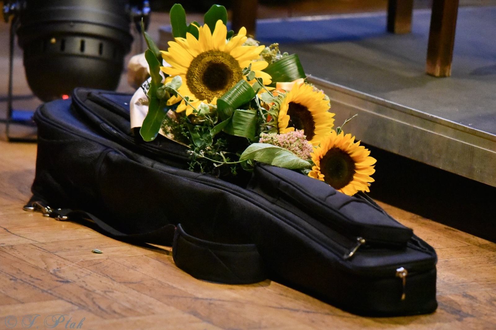 Zdjęcie w galerii na portalu naszraciborz.pl: Swoboda gitarowych improwizacji. Ludwik Konopko zagrał w RCK wiadomości z regionu