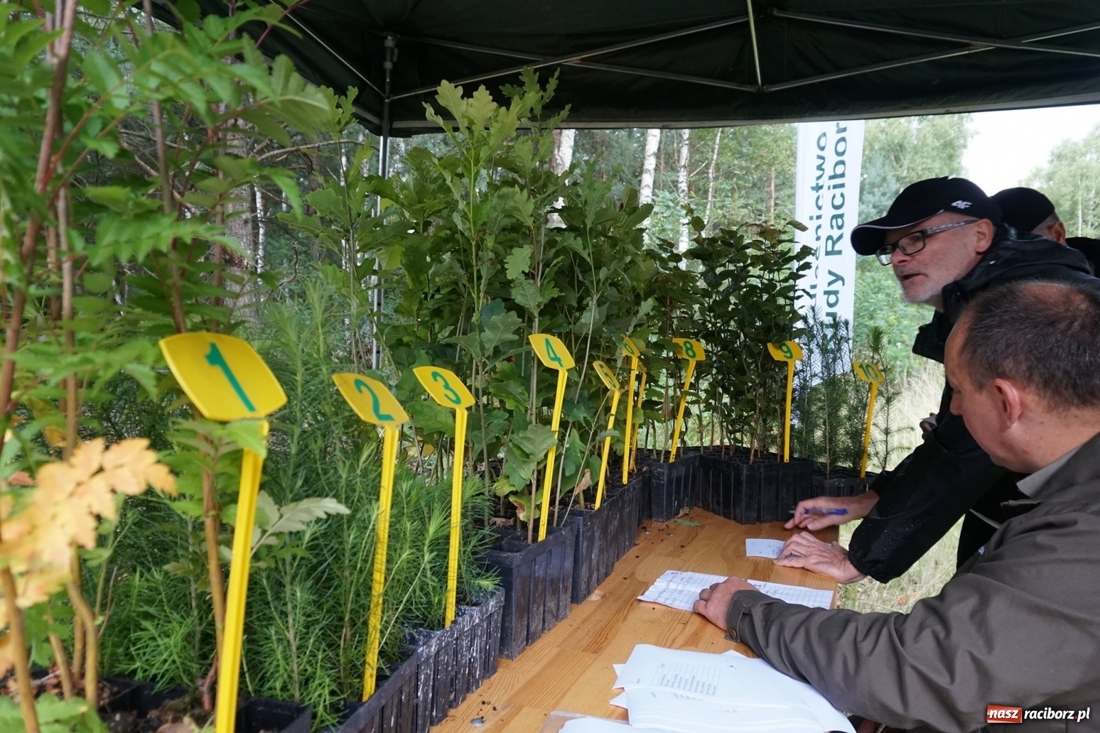 Zdjęcie w galerii na portalu naszraciborz.pl: XXIII Rodzinny Rajd Rowerowy w Kuźni Raciborskiej za nami [FOTO] wiadomości z regionu