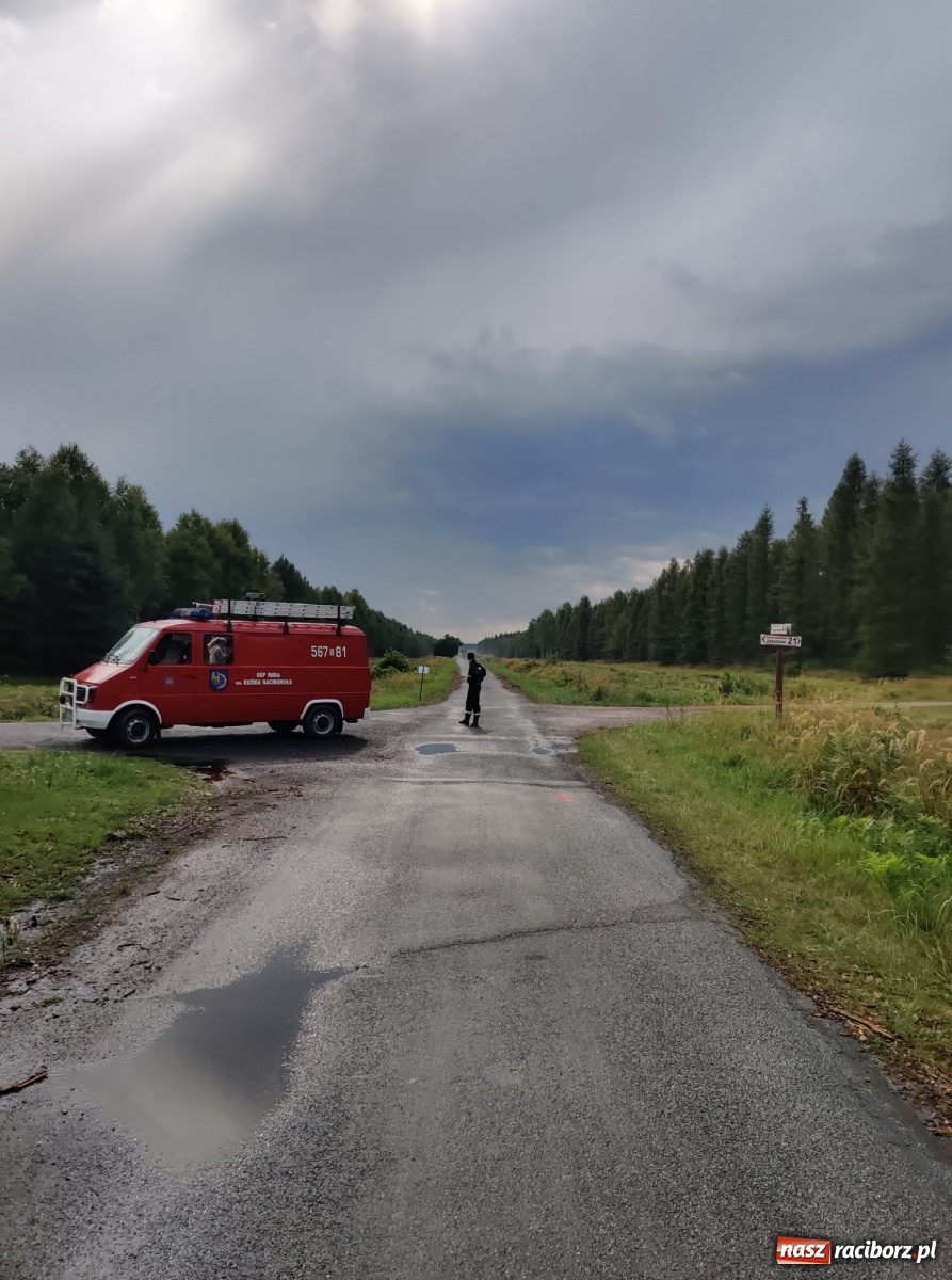 Zdjęcie w galerii na portalu naszraciborz.pl: XXIII Rodzinny Rajd Rowerowy w Kuźni Raciborskiej za nami [FOTO] wiadomości z regionu