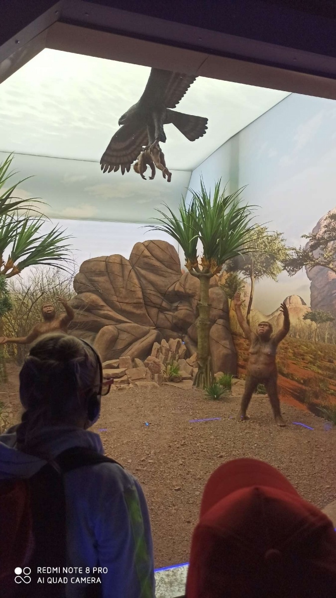 Zdjęcie w galerii na portalu naszraciborz.pl: RCK żegna wakacje 2021 [podsumowanie] wiadomości z regionu