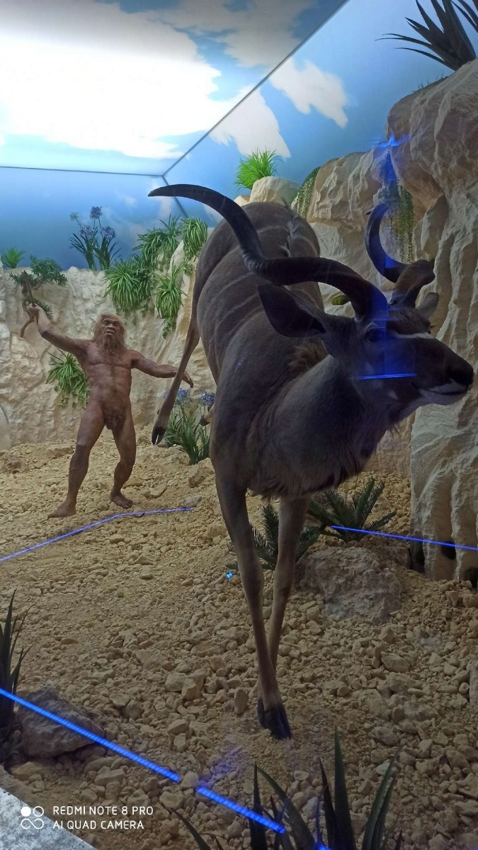 Zdjęcie w galerii na portalu naszraciborz.pl: RCK żegna wakacje 2021 [podsumowanie] wiadomości z regionu