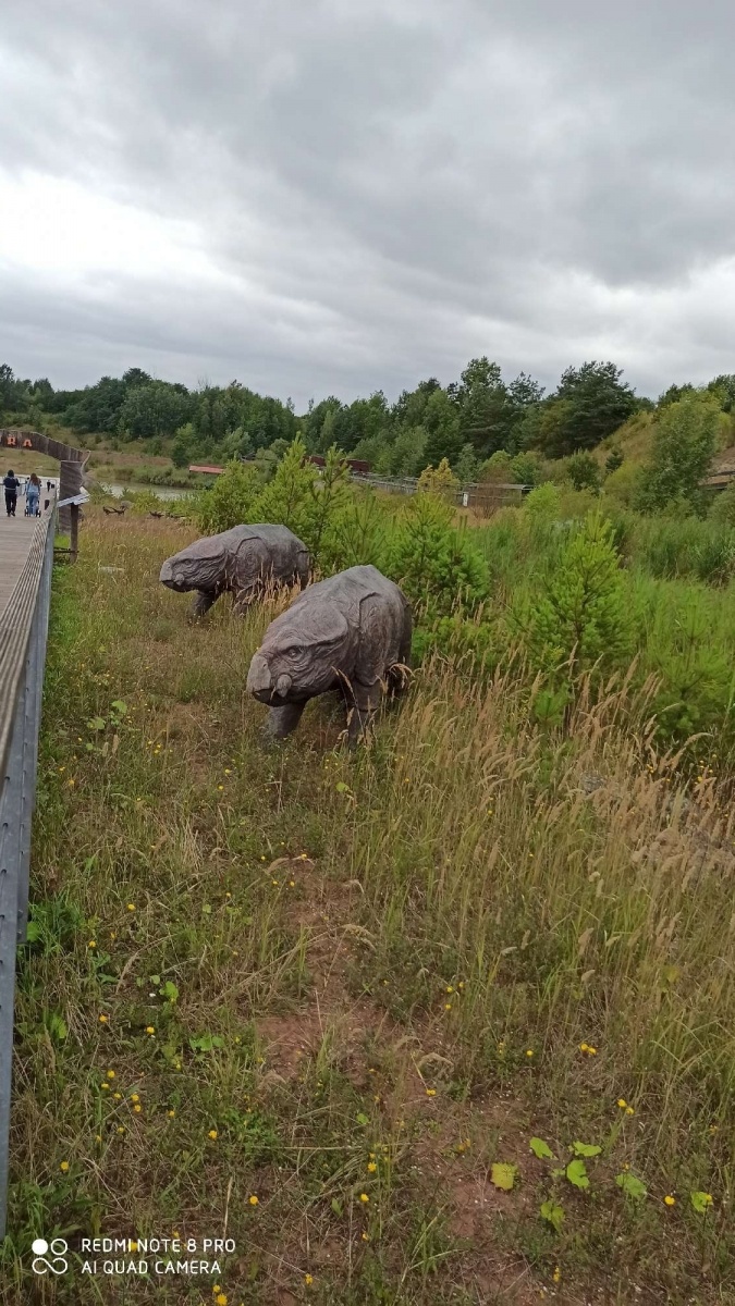 Zdjęcie w galerii na portalu naszraciborz.pl: RCK żegna wakacje 2021 [podsumowanie] wiadomości z regionu