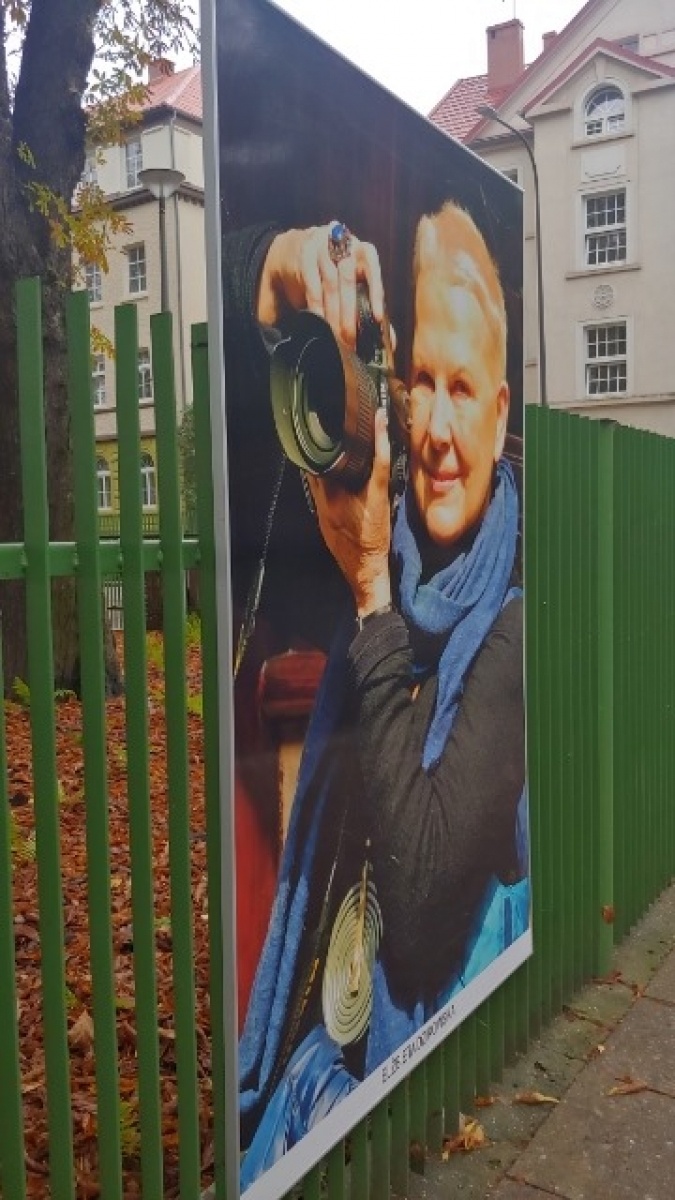 Zdjęcie w galerii na portalu naszraciborz.pl: Plenerowa wystawa Elżbiety Dzikowskiej w Raciborzu wiadomości z regionu