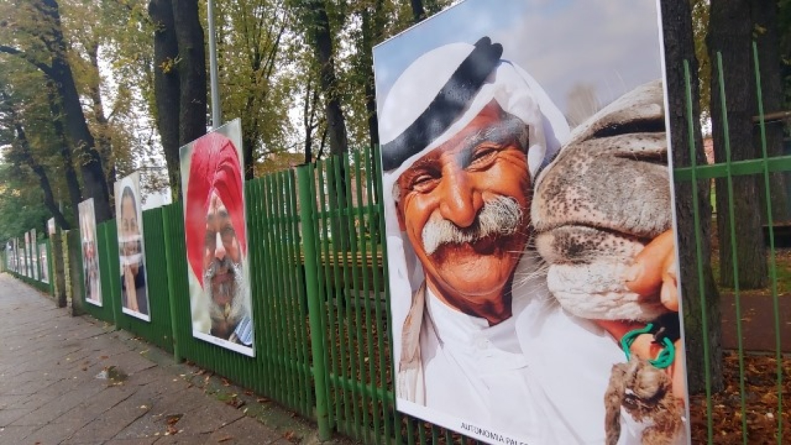 Zdjęcie w galerii na portalu naszraciborz.pl: Plenerowa wystawa Elżbiety Dzikowskiej w Raciborzu wiadomości z regionu