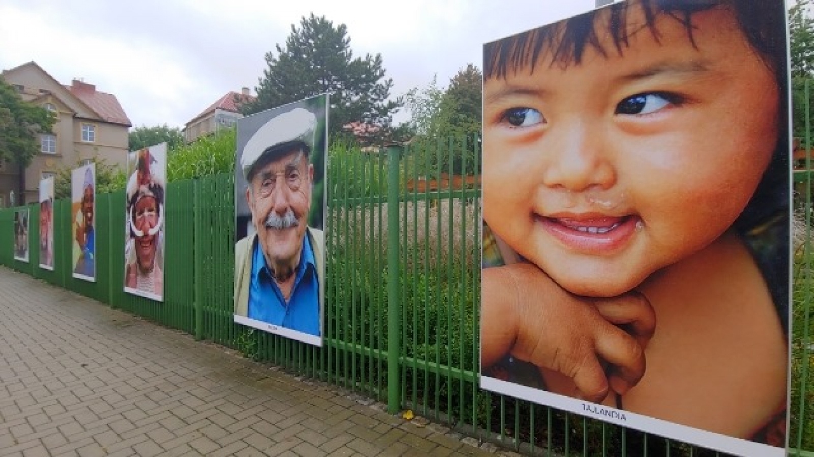 Zdjęcie w galerii na portalu naszraciborz.pl: Plenerowa wystawa Elżbiety Dzikowskiej w Raciborzu wiadomości z regionu