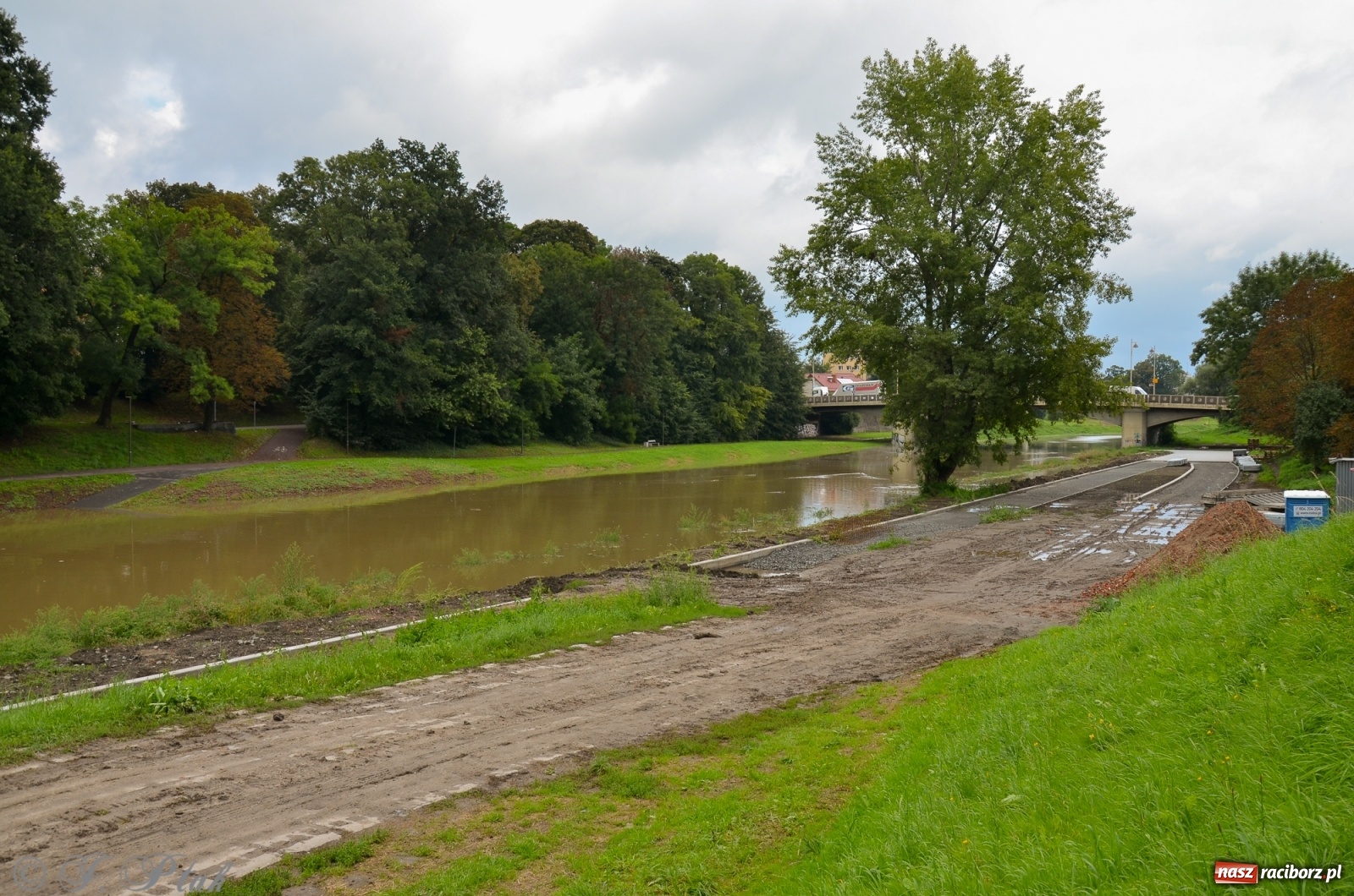 Zdjęcie w galerii na portalu naszraciborz.pl: Komunikaty o sytuacji hydrologicznej na górnej Odrze wiadomości z regionu