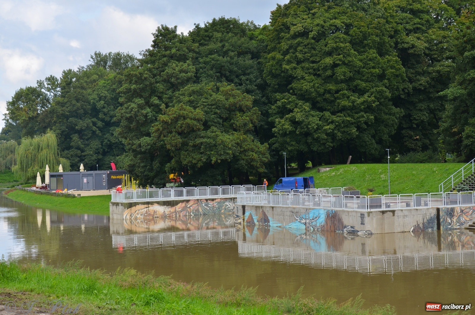 Zdjęcie w galerii na portalu naszraciborz.pl: Komunikaty o sytuacji hydrologicznej na górnej Odrze wiadomości z regionu