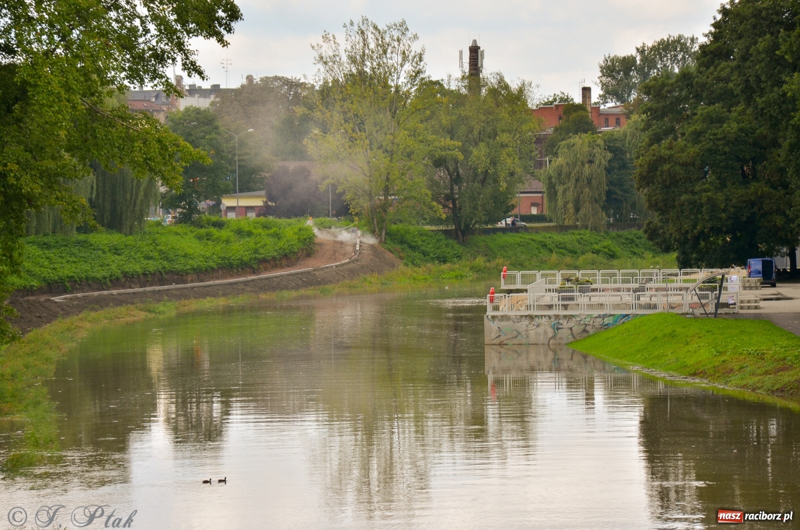 Zdjęcie w galerii na portalu naszraciborz.pl: Komunikaty o sytuacji hydrologicznej na górnej Odrze wiadomości z regionu