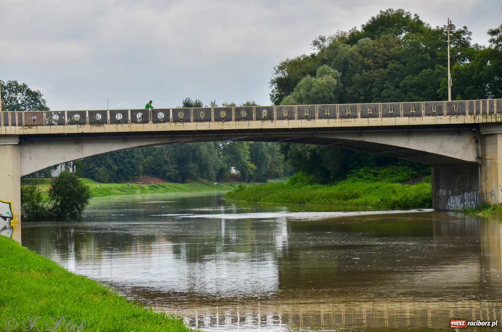 Zdjęcie w galerii na portalu naszraciborz.pl: Komunikaty o sytuacji hydrologicznej na górnej Odrze wiadomości z regionu