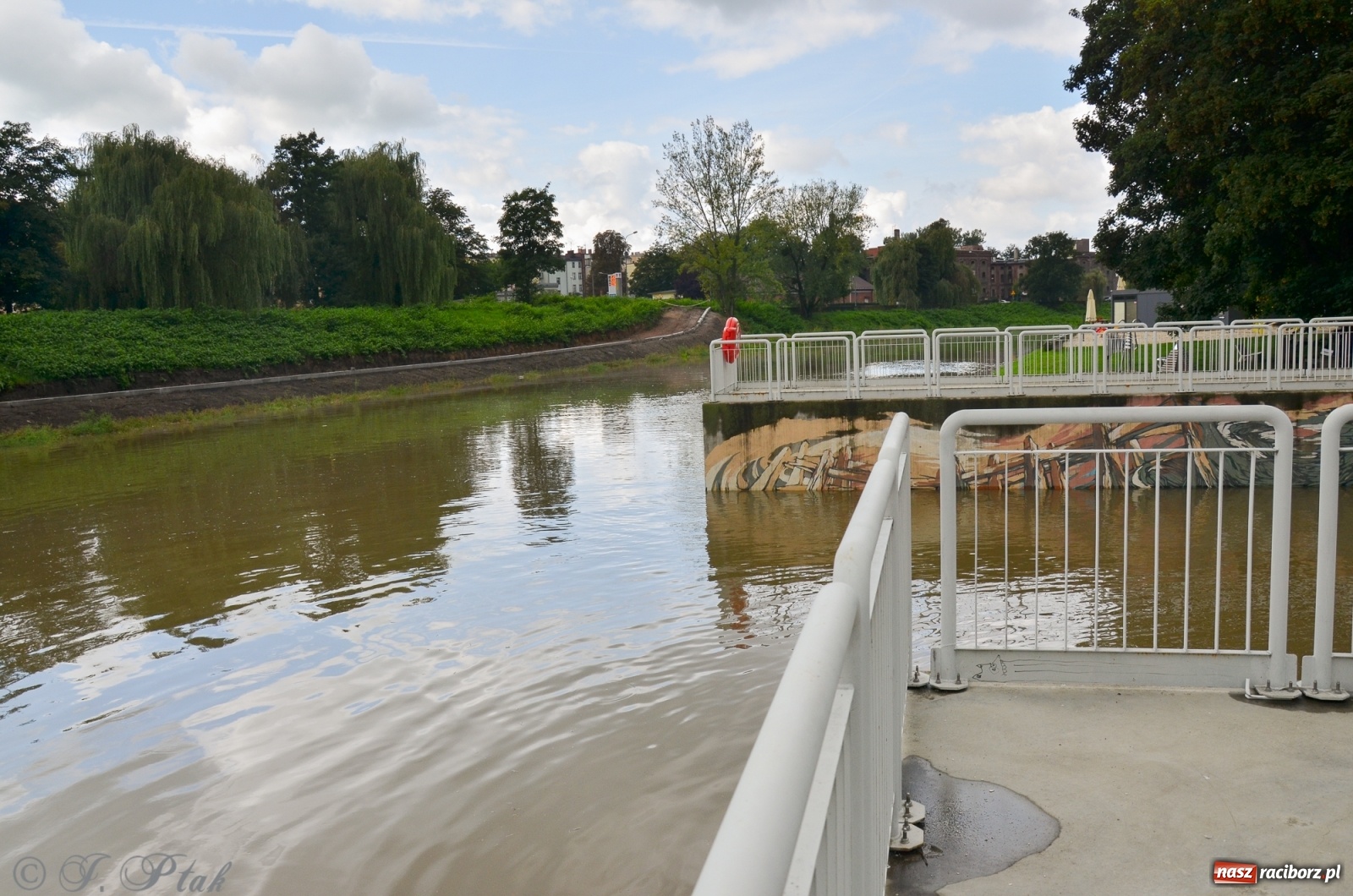 Zdjęcie w galerii na portalu naszraciborz.pl: Komunikaty o sytuacji hydrologicznej na górnej Odrze wiadomości z regionu