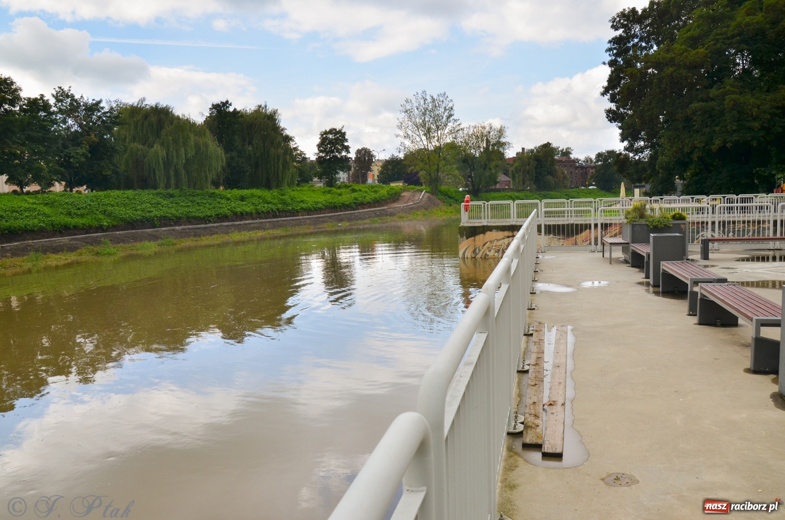 Zdjęcie w galerii na portalu naszraciborz.pl: Komunikaty o sytuacji hydrologicznej na górnej Odrze wiadomości z regionu