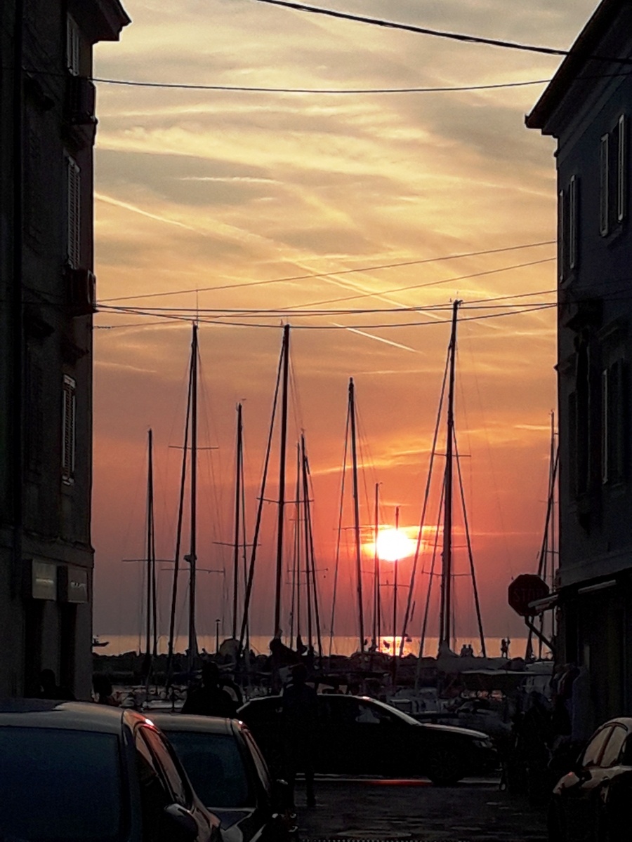 Zdjęcie w galerii na portalu naszraciborz.pl: Przyjaciele z Europy badają swoją międzywojenną historię wiadomości z regionu