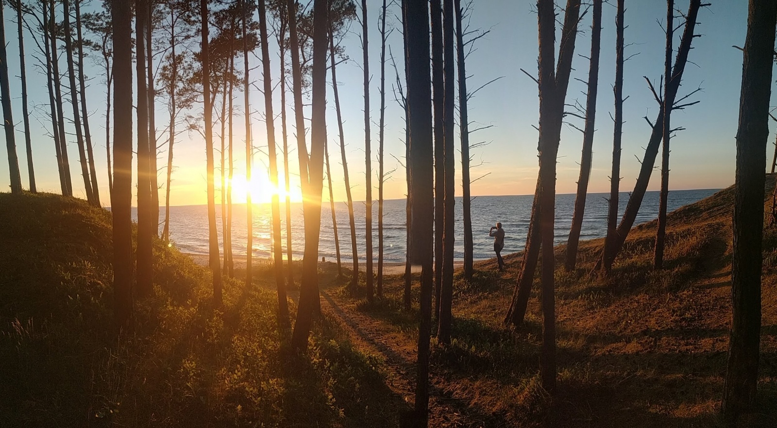 Zdjęcie w galerii na portalu naszraciborz.pl: ARCHITEKT? Brzmi dumnie. Dołącz do grona studentów architektury PWSZ wiadomości z regionu