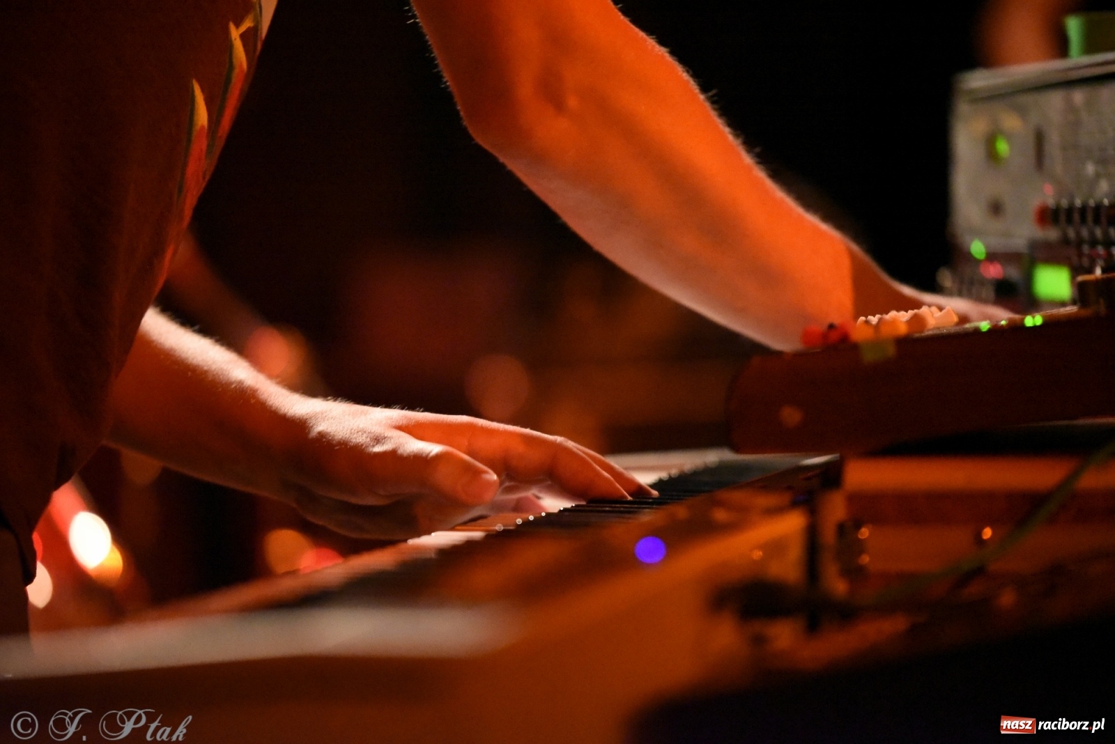 Zdjęcie w galerii na portalu naszraciborz.pl: The Band of Endless Noise. Koncert w Strzesze wiadomości z regionu