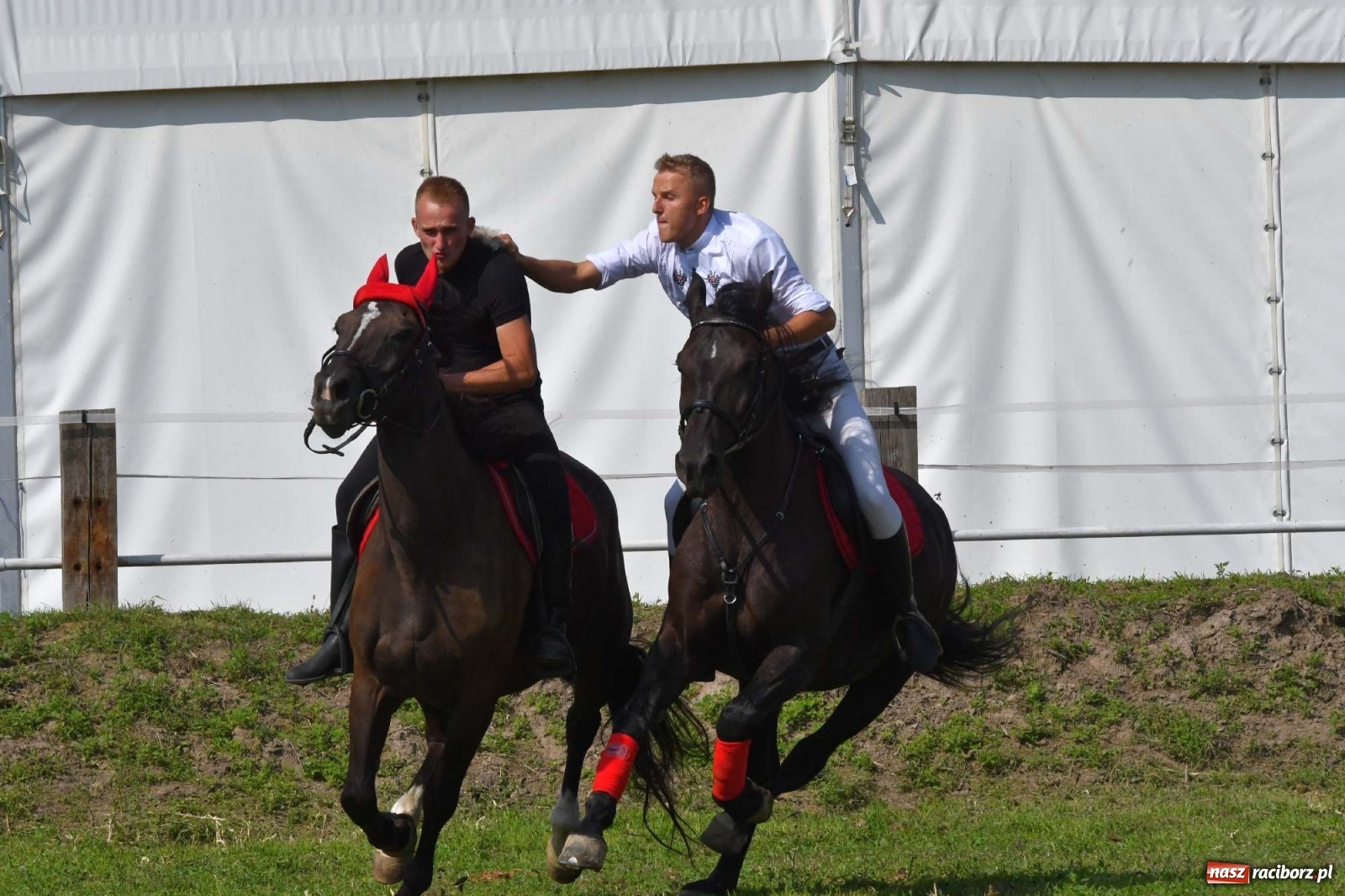 Zdjęcie w galerii na portalu naszraciborz.pl: Hubertus w Żerdzinach. Jakub Niedbała dopadł lisa [FOTO i WIDEO] wiadomości z regionu