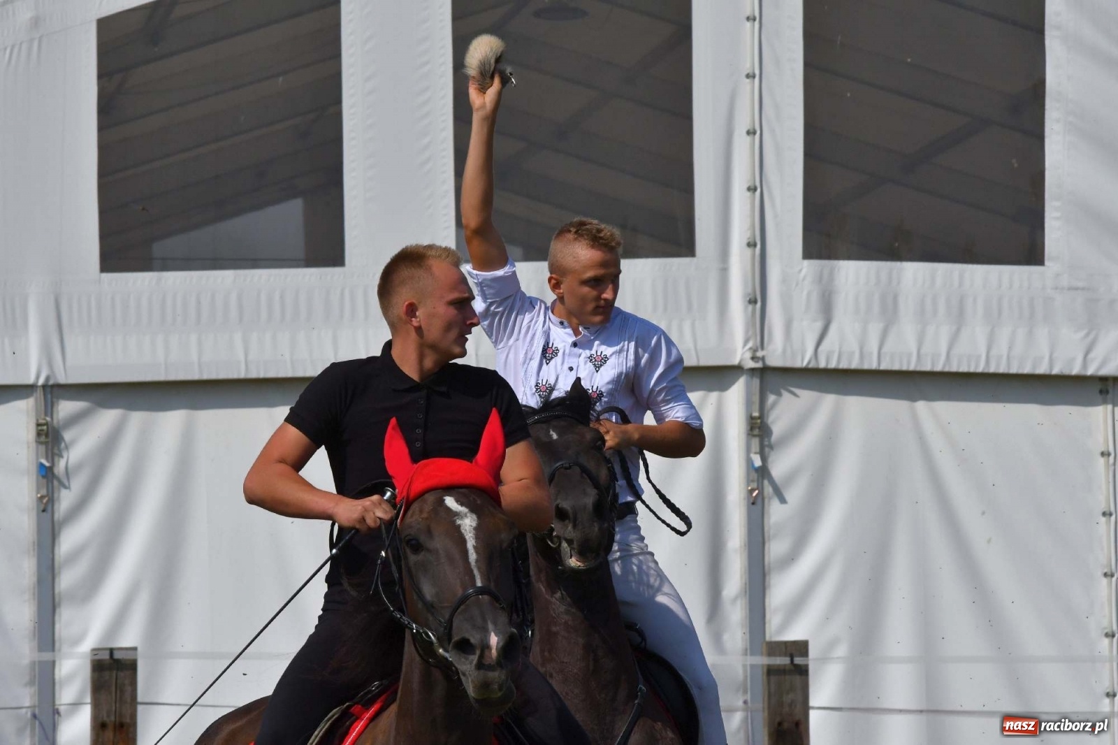 Zdjęcie w galerii na portalu naszraciborz.pl: Hubertus w Żerdzinach. Jakub Niedbała dopadł lisa [FOTO i WIDEO] wiadomości z regionu