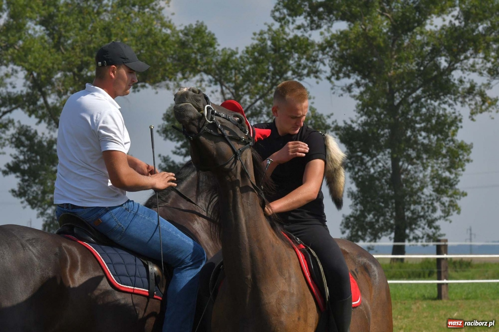 Zdjęcie w galerii na portalu naszraciborz.pl: Hubertus w Żerdzinach. Jakub Niedbała dopadł lisa [FOTO i WIDEO] wiadomości z regionu