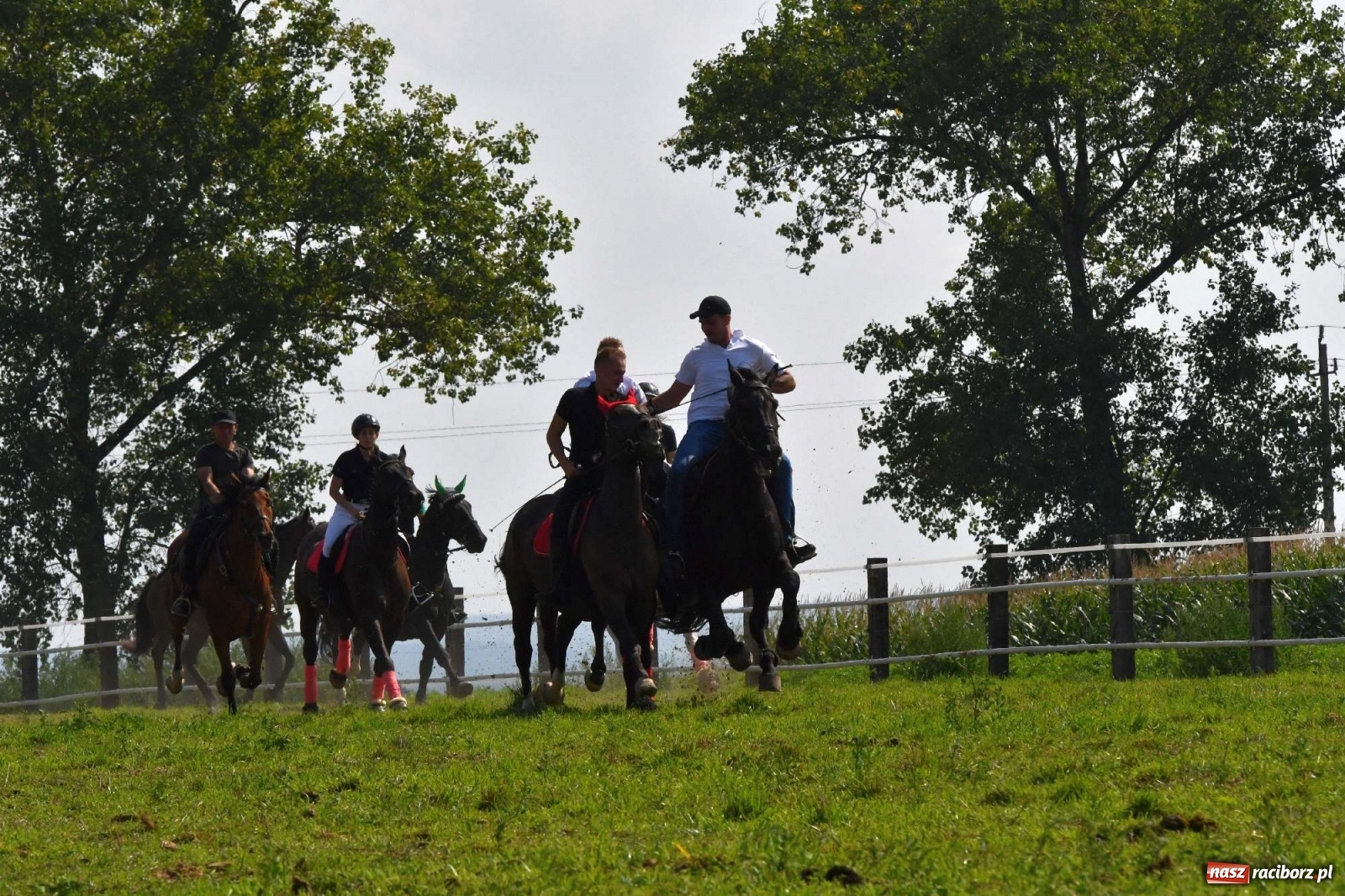 Zdjęcie w galerii na portalu naszraciborz.pl: Hubertus w Żerdzinach. Jakub Niedbała dopadł lisa [FOTO i WIDEO] wiadomości z regionu