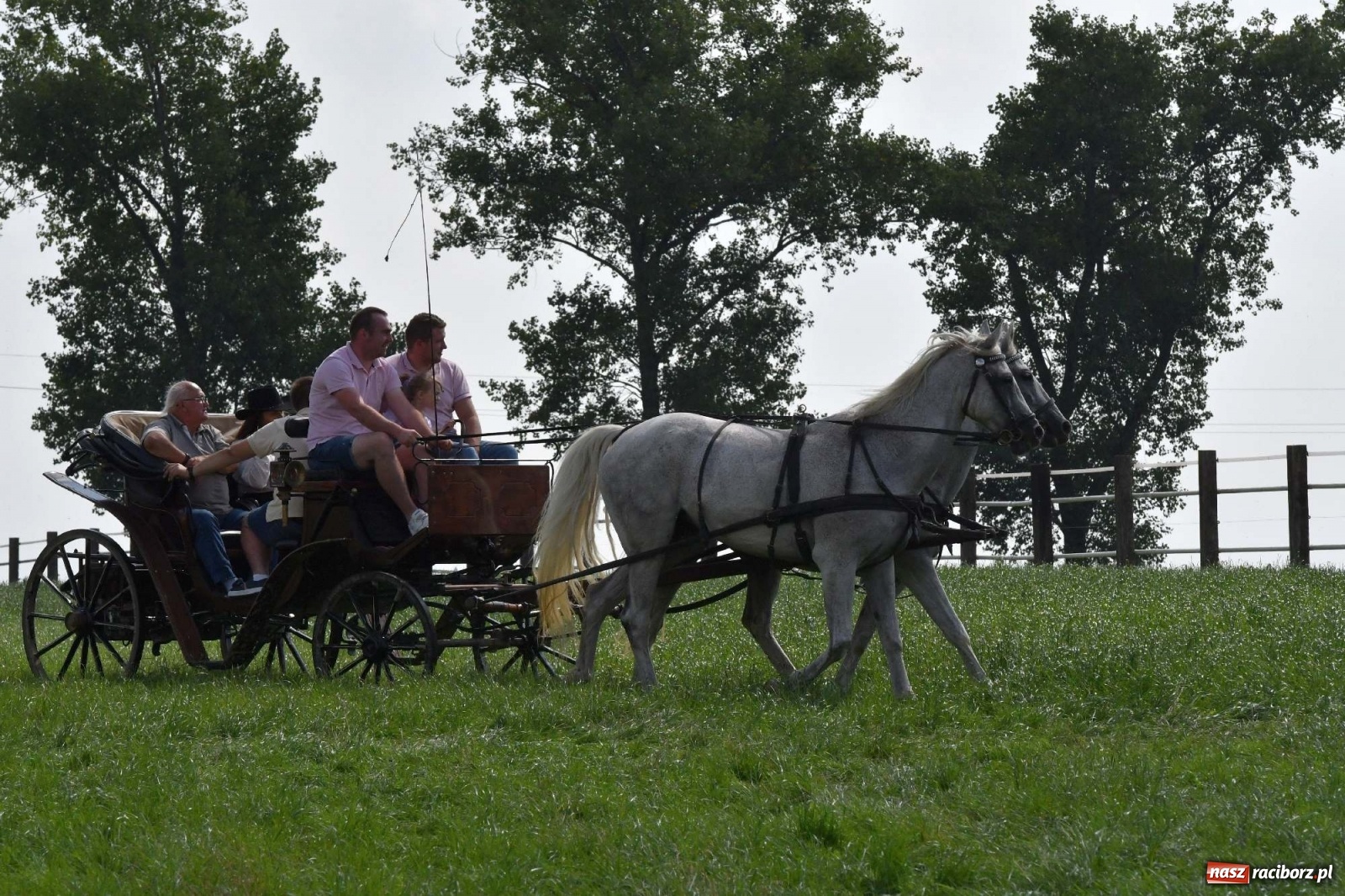 Zdjęcie w galerii na portalu naszraciborz.pl: Hubertus w Żerdzinach. Jakub Niedbała dopadł lisa [FOTO i WIDEO] wiadomości z regionu