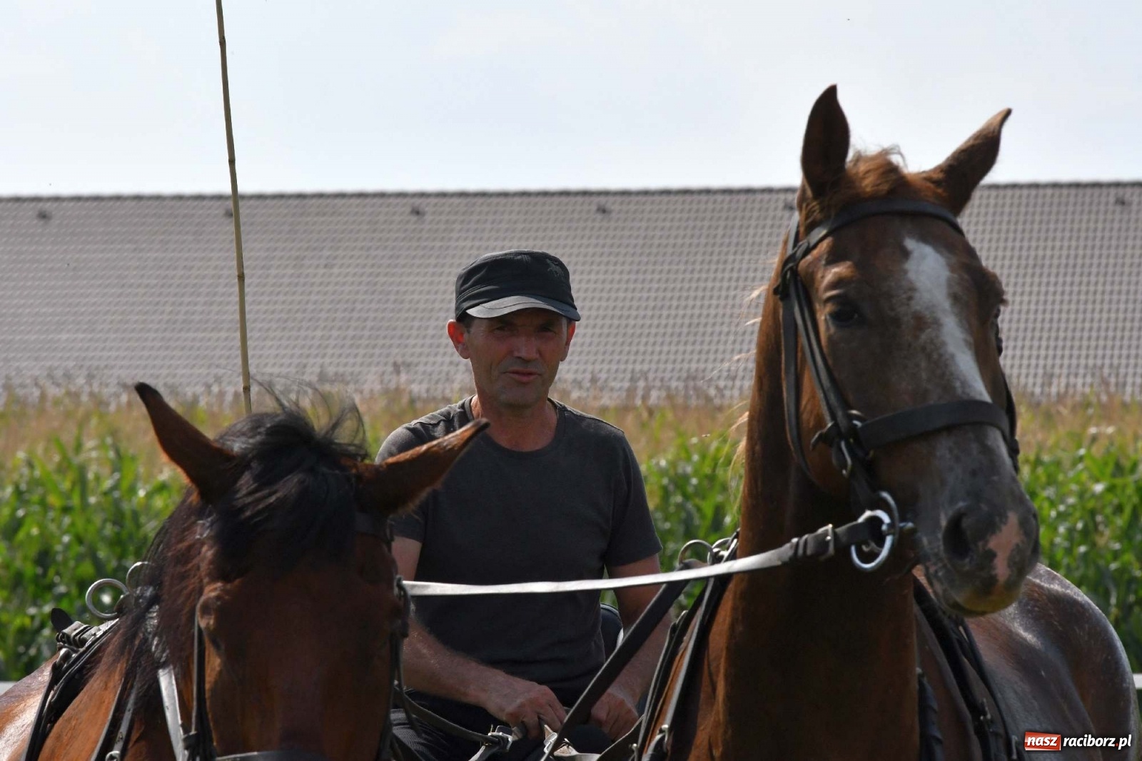 Zdjęcie w galerii na portalu naszraciborz.pl: Hubertus w Żerdzinach. Jakub Niedbała dopadł lisa [FOTO i WIDEO] wiadomości z regionu