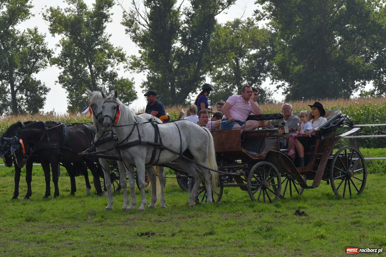 Zdjęcie w galerii na portalu naszraciborz.pl: Hubertus w Żerdzinach. Jakub Niedbała dopadł lisa [FOTO i WIDEO] wiadomości z regionu