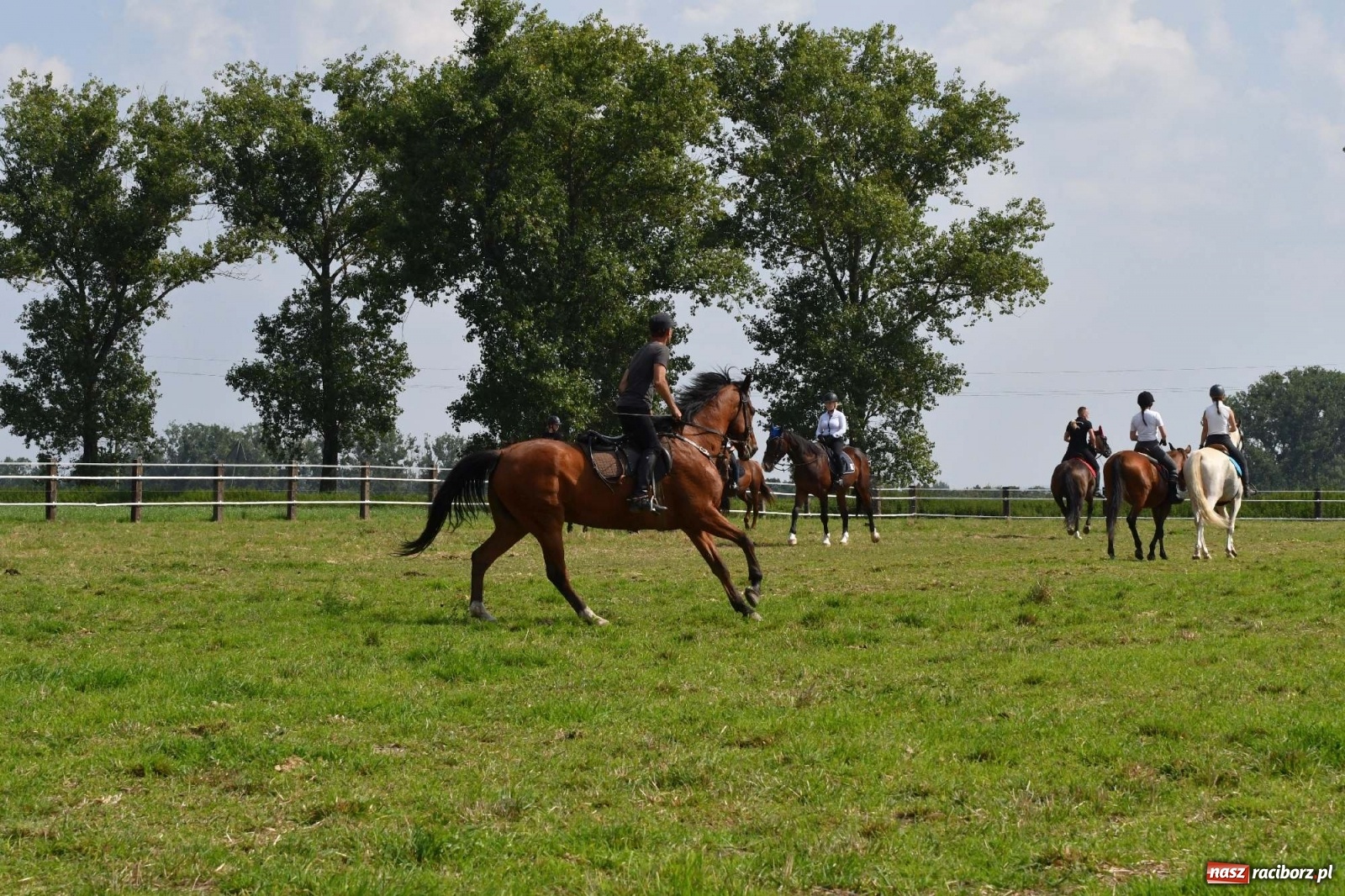 Zdjęcie w galerii na portalu naszraciborz.pl: Hubertus w Żerdzinach. Jakub Niedbała dopadł lisa [FOTO i WIDEO] wiadomości z regionu