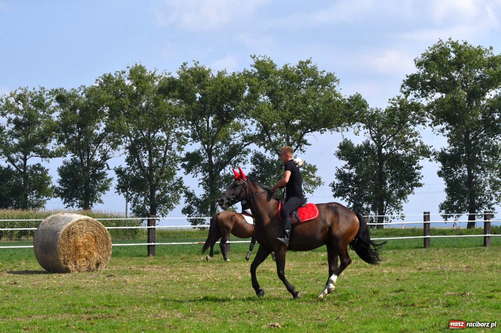 Zdjęcie w galerii na portalu naszraciborz.pl: Hubertus w Żerdzinach. Jakub Niedbała dopadł lisa [FOTO i WIDEO] wiadomości z regionu