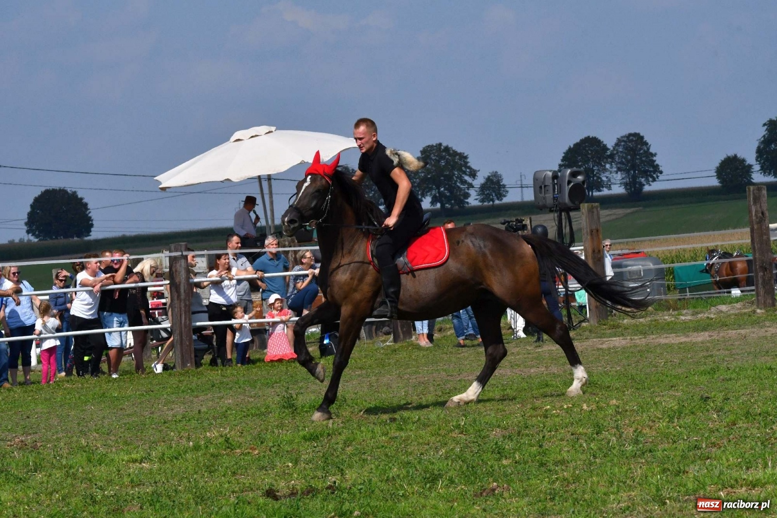 Zdjęcie w galerii na portalu naszraciborz.pl: Hubertus w Żerdzinach. Jakub Niedbała dopadł lisa [FOTO i WIDEO] wiadomości z regionu
