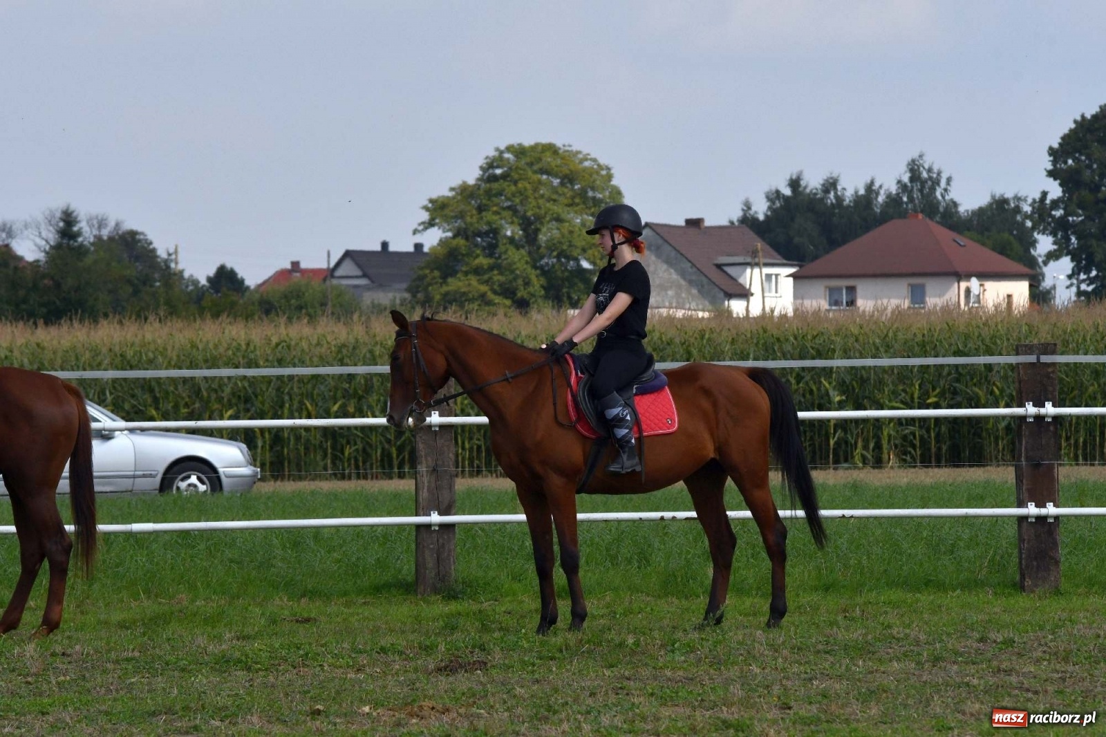 Zdjęcie w galerii na portalu naszraciborz.pl: Hubertus w Żerdzinach. Jakub Niedbała dopadł lisa [FOTO i WIDEO] wiadomości z regionu