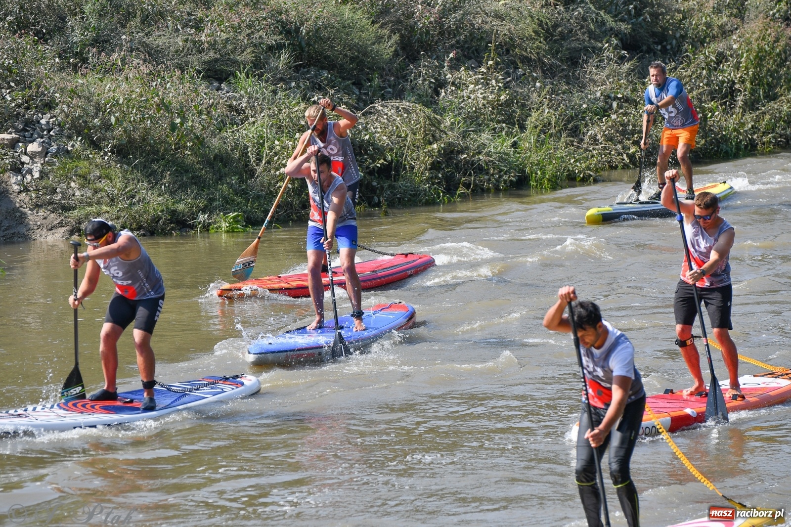 Zdjęcie w galerii na portalu naszraciborz.pl: Odra SUP CUP 2022 finałem Pucharu Polski wiadomości z regionu