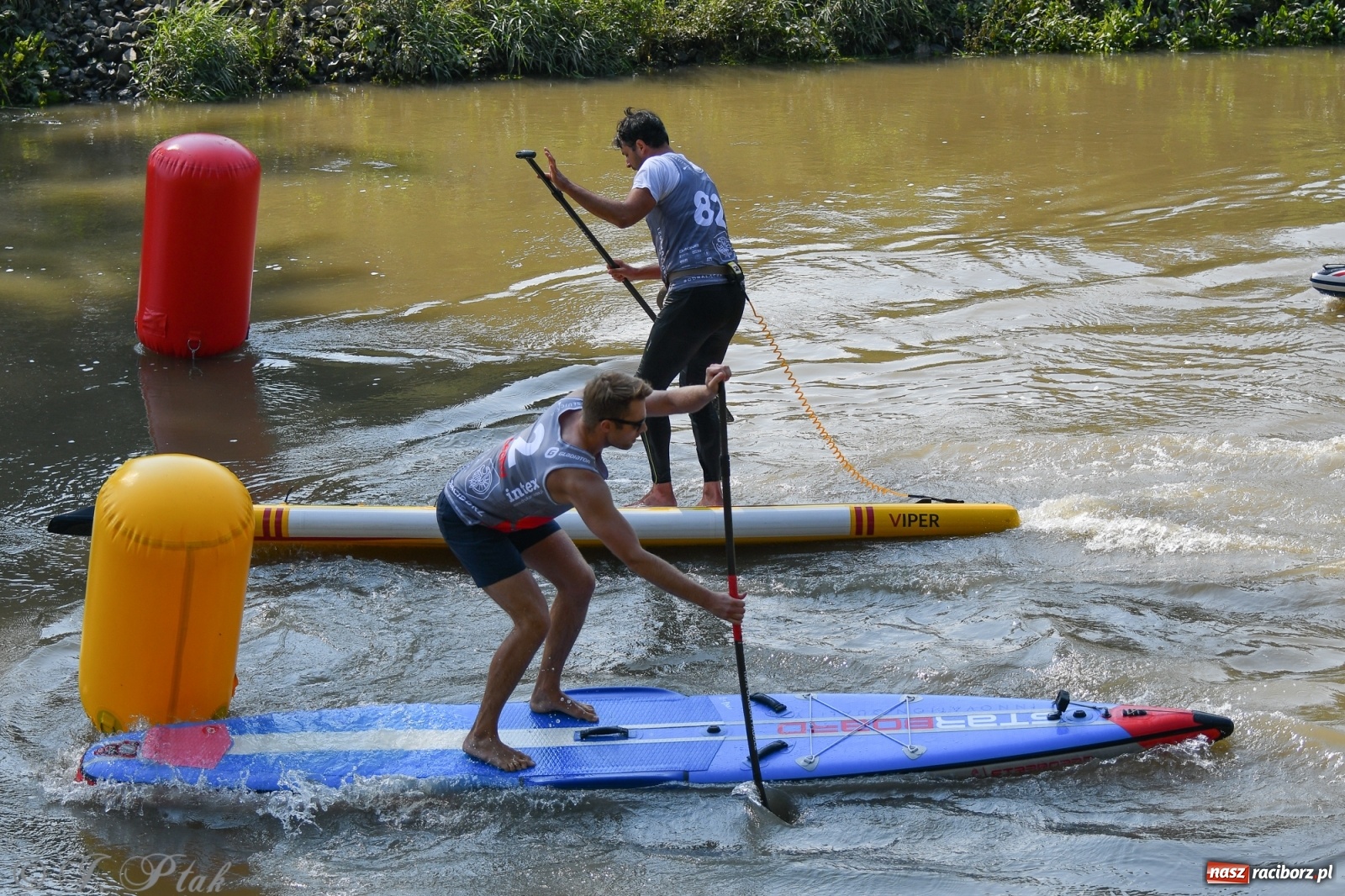 Zdjęcie w galerii na portalu naszraciborz.pl: Odra SUP CUP 2022 finałem Pucharu Polski wiadomości z regionu