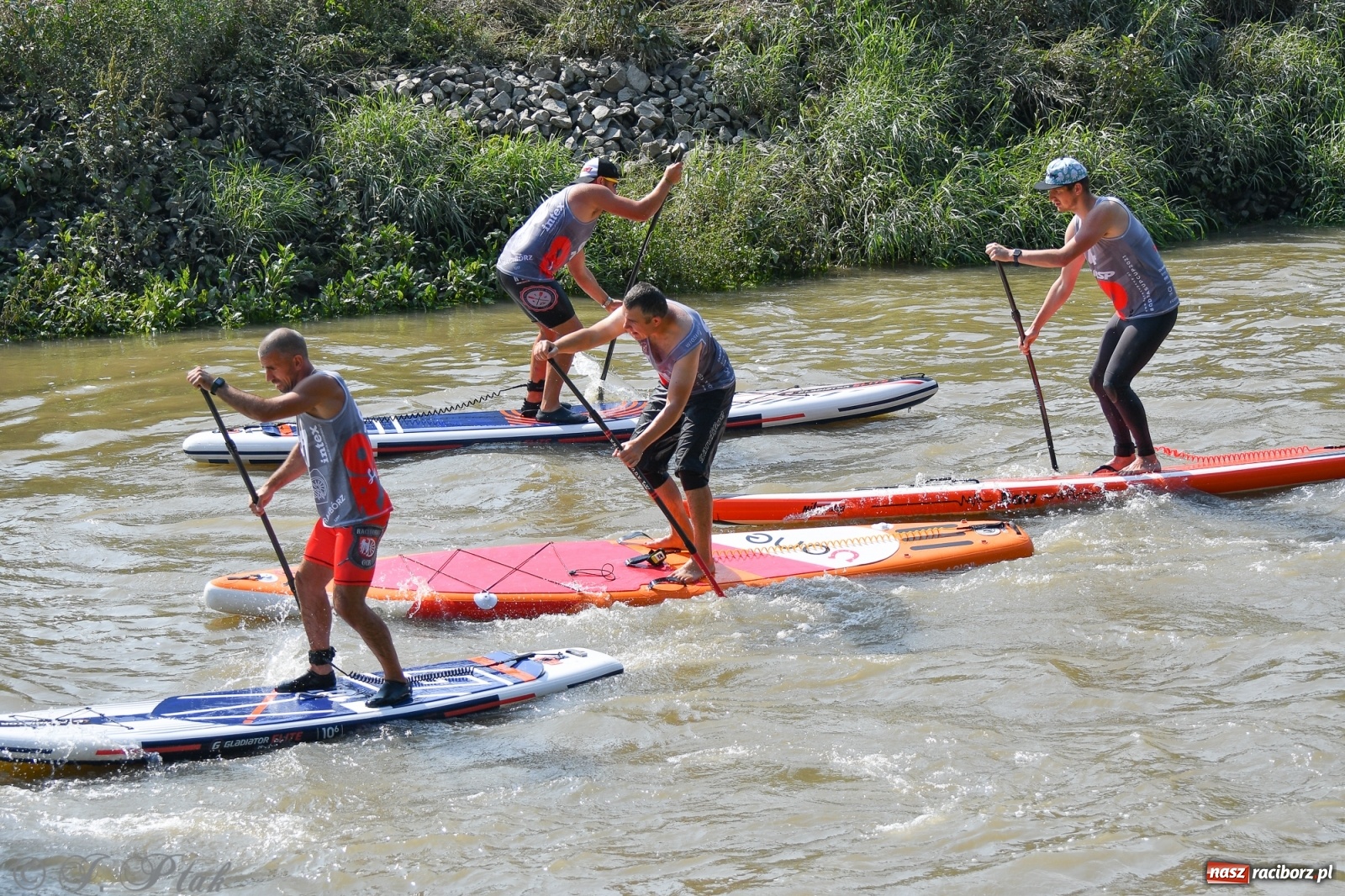 Zdjęcie w galerii na portalu naszraciborz.pl: Odra SUP CUP 2022 finałem Pucharu Polski wiadomości z regionu