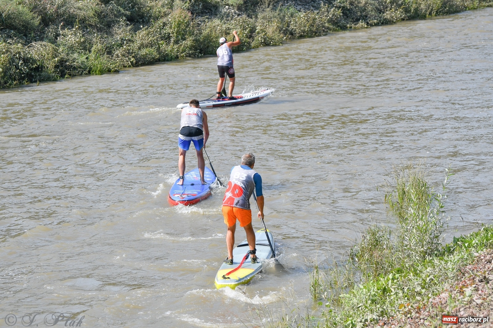 Zdjęcie w galerii na portalu naszraciborz.pl: Odra SUP CUP 2022 finałem Pucharu Polski wiadomości z regionu