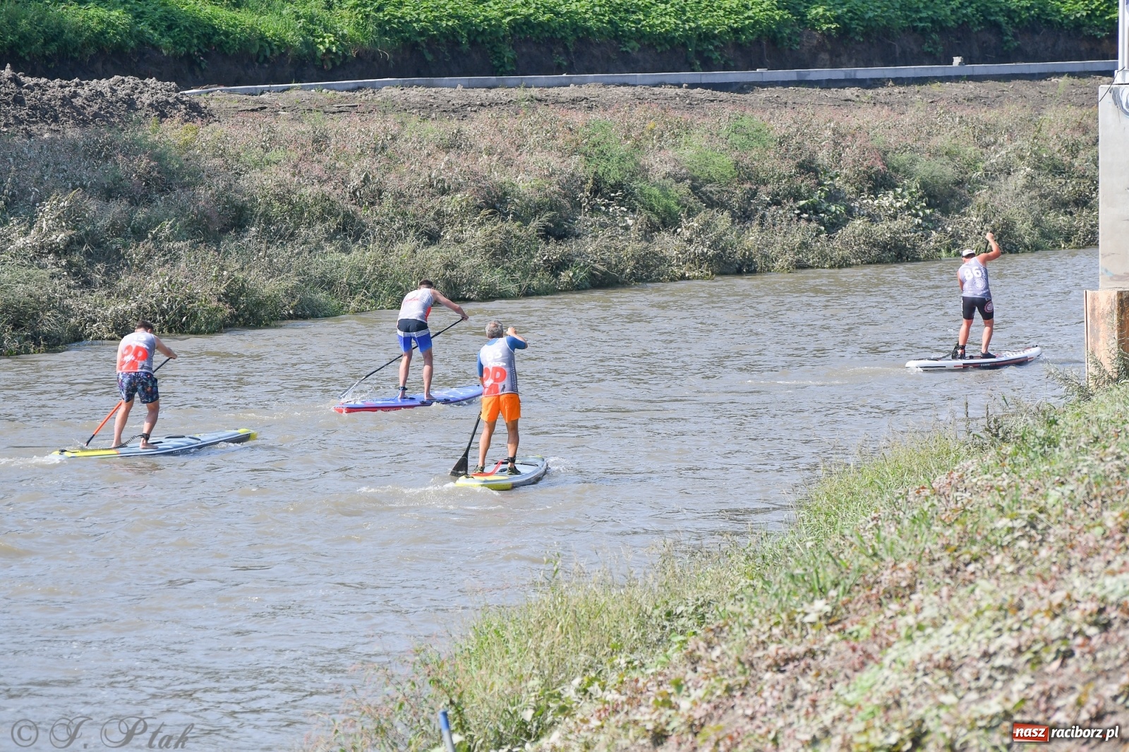 Zdjęcie w galerii na portalu naszraciborz.pl: Odra SUP CUP 2022 finałem Pucharu Polski wiadomości z regionu