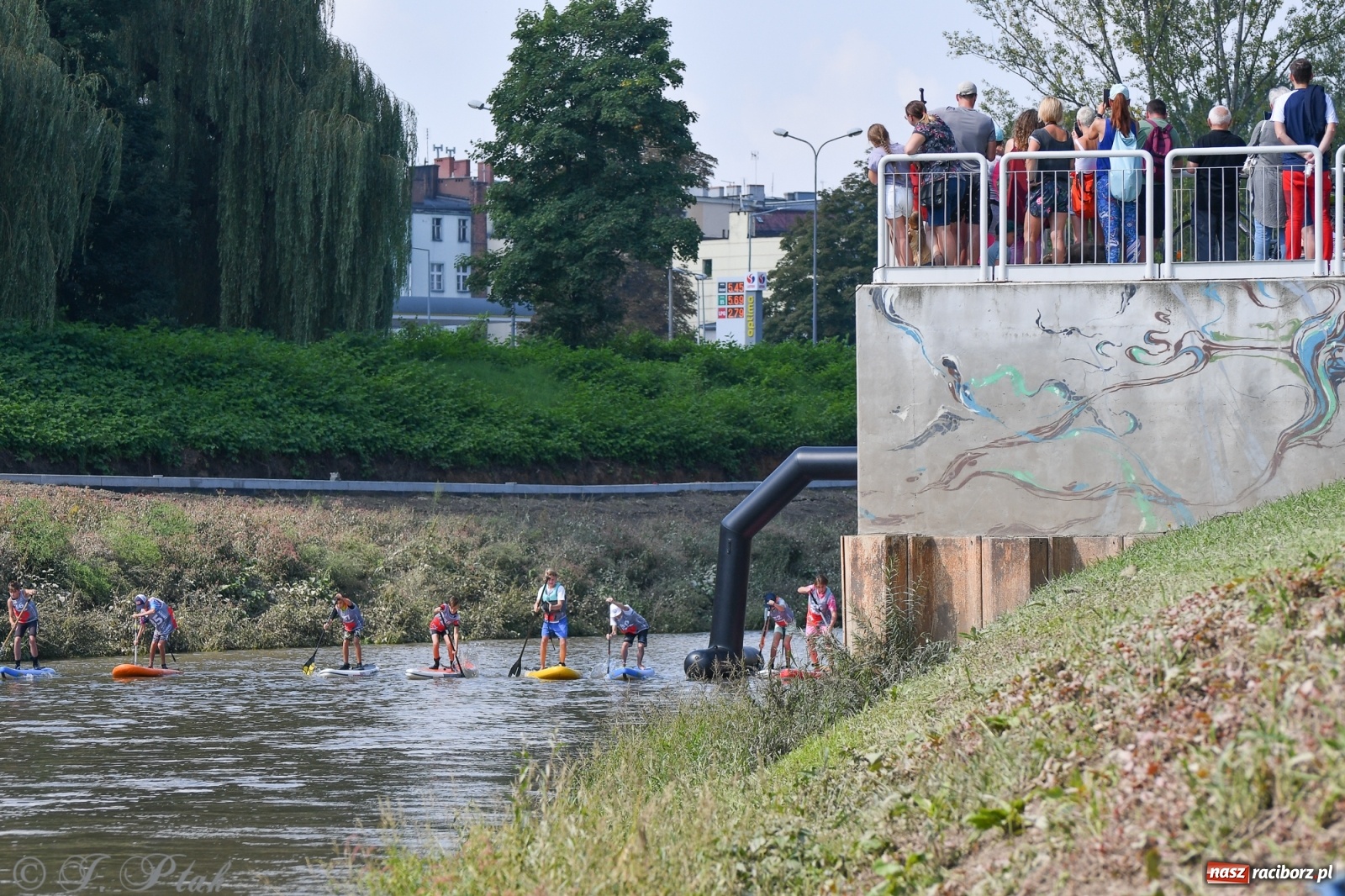 Zdjęcie w galerii na portalu naszraciborz.pl: Odra SUP CUP 2022 finałem Pucharu Polski wiadomości z regionu