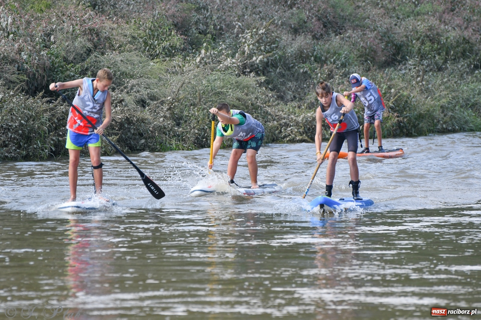 Zdjęcie w galerii na portalu naszraciborz.pl: Odra SUP CUP 2022 finałem Pucharu Polski wiadomości z regionu
