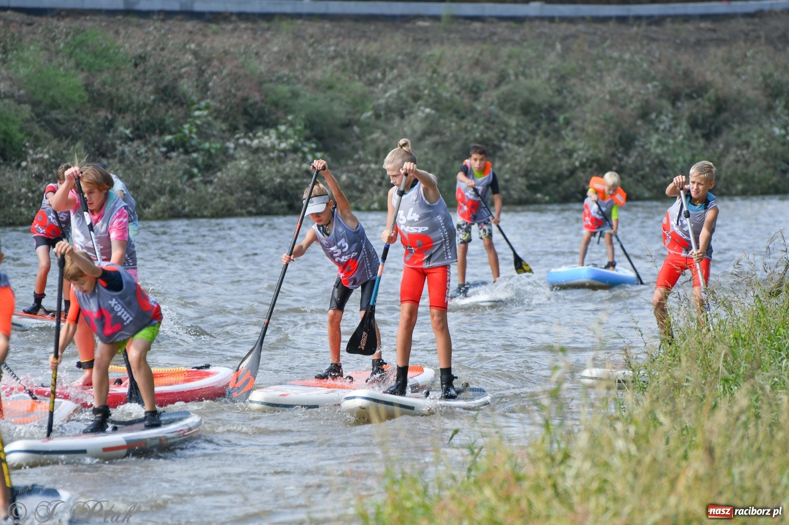Zdjęcie w galerii na portalu naszraciborz.pl: Odra SUP CUP 2022 finałem Pucharu Polski wiadomości z regionu
