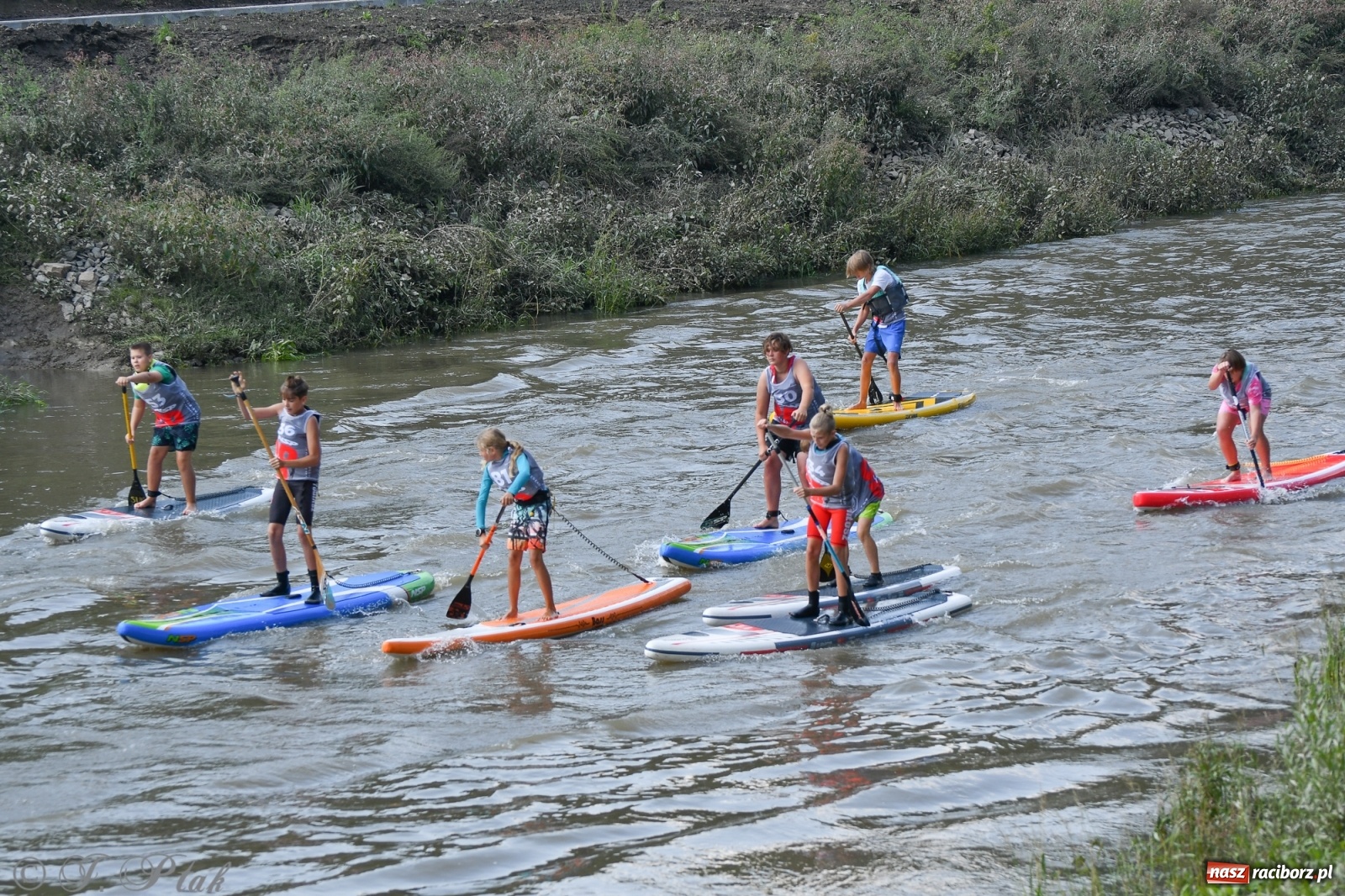 Zdjęcie w galerii na portalu naszraciborz.pl: Odra SUP CUP 2022 finałem Pucharu Polski wiadomości z regionu