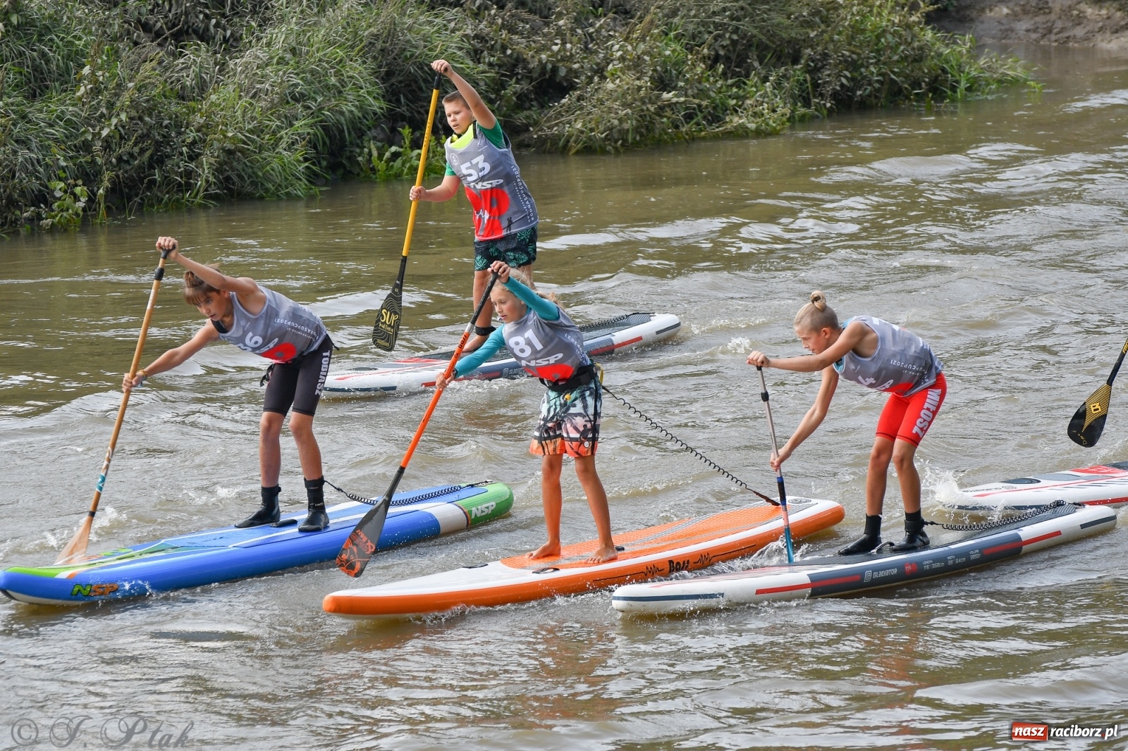 Zdjęcie w galerii na portalu naszraciborz.pl: Odra SUP CUP 2022 finałem Pucharu Polski wiadomości z regionu