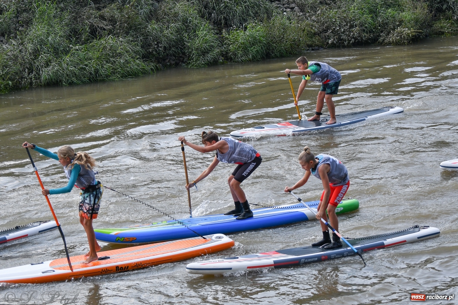 Zdjęcie w galerii na portalu naszraciborz.pl: Odra SUP CUP 2022 finałem Pucharu Polski wiadomości z regionu