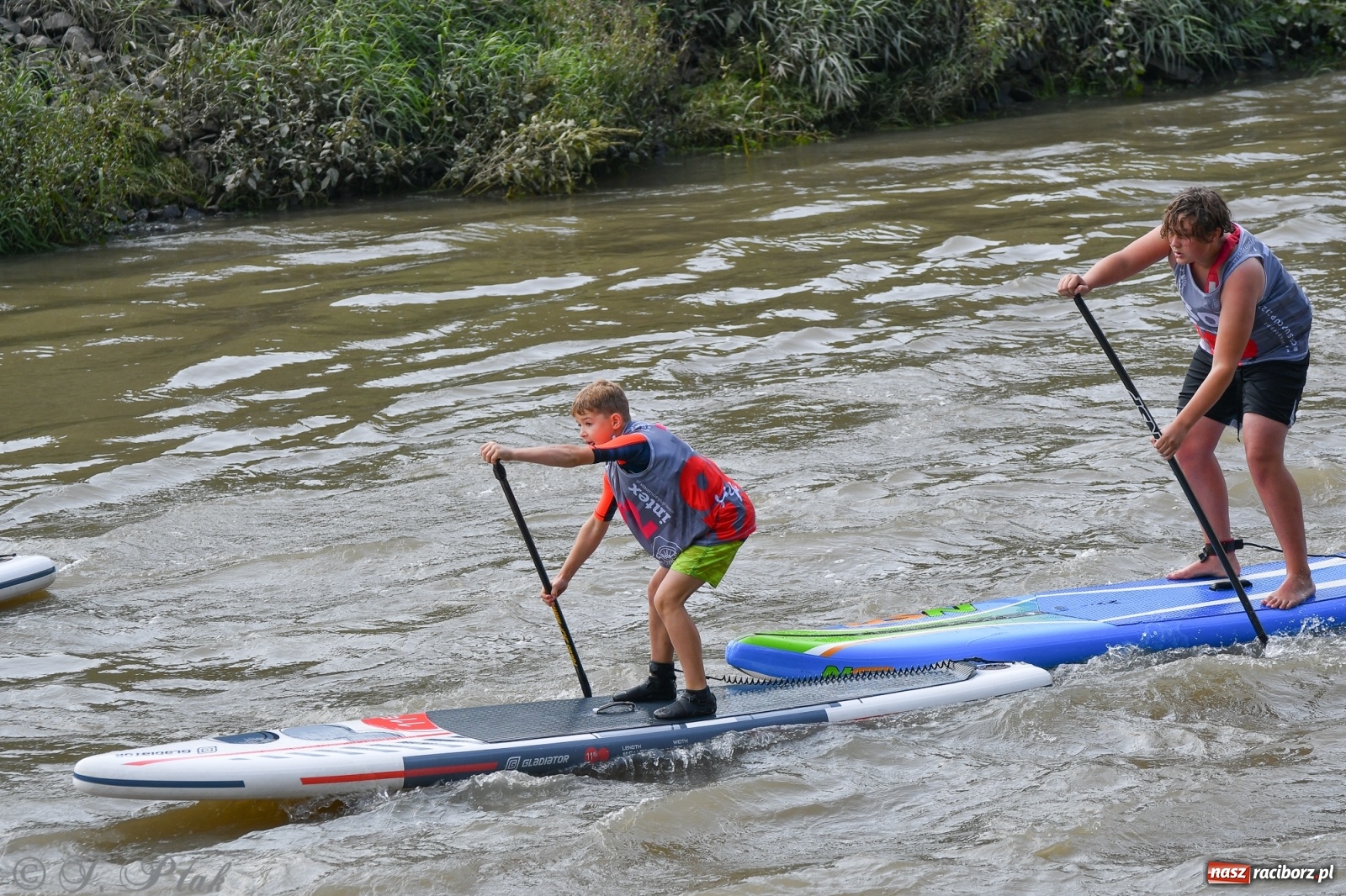 Zdjęcie w galerii na portalu naszraciborz.pl: Odra SUP CUP 2022 finałem Pucharu Polski wiadomości z regionu