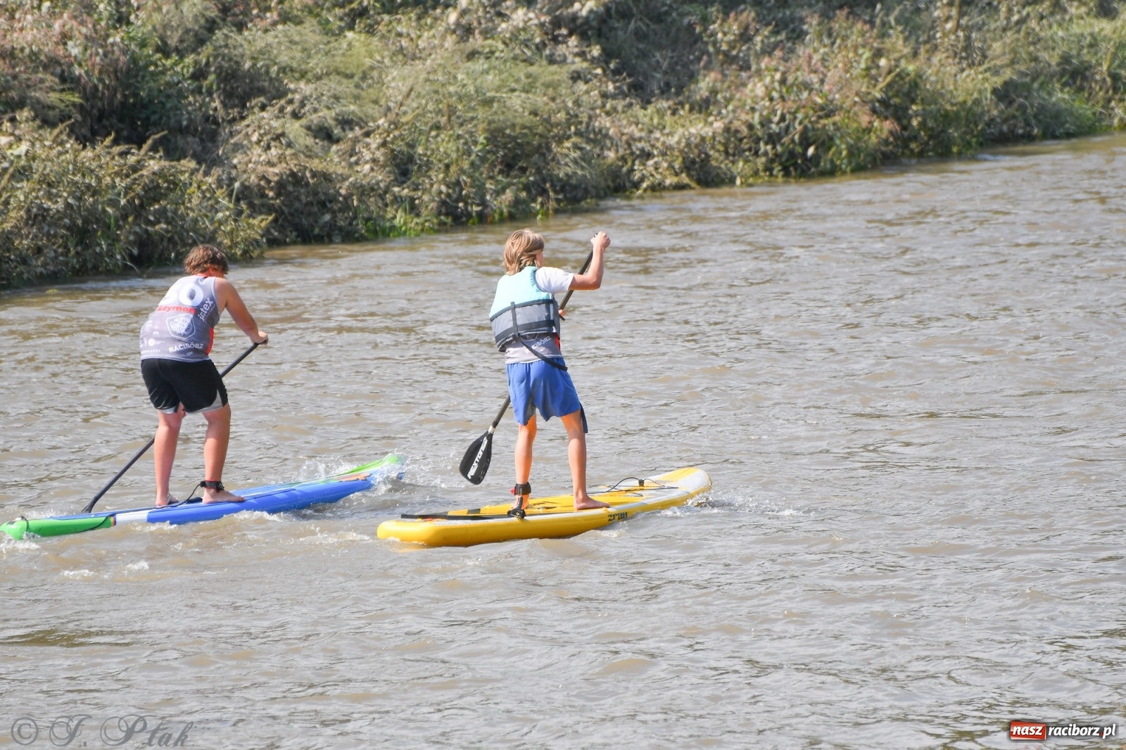 Zdjęcie w galerii na portalu naszraciborz.pl: Odra SUP CUP 2022 finałem Pucharu Polski wiadomości z regionu