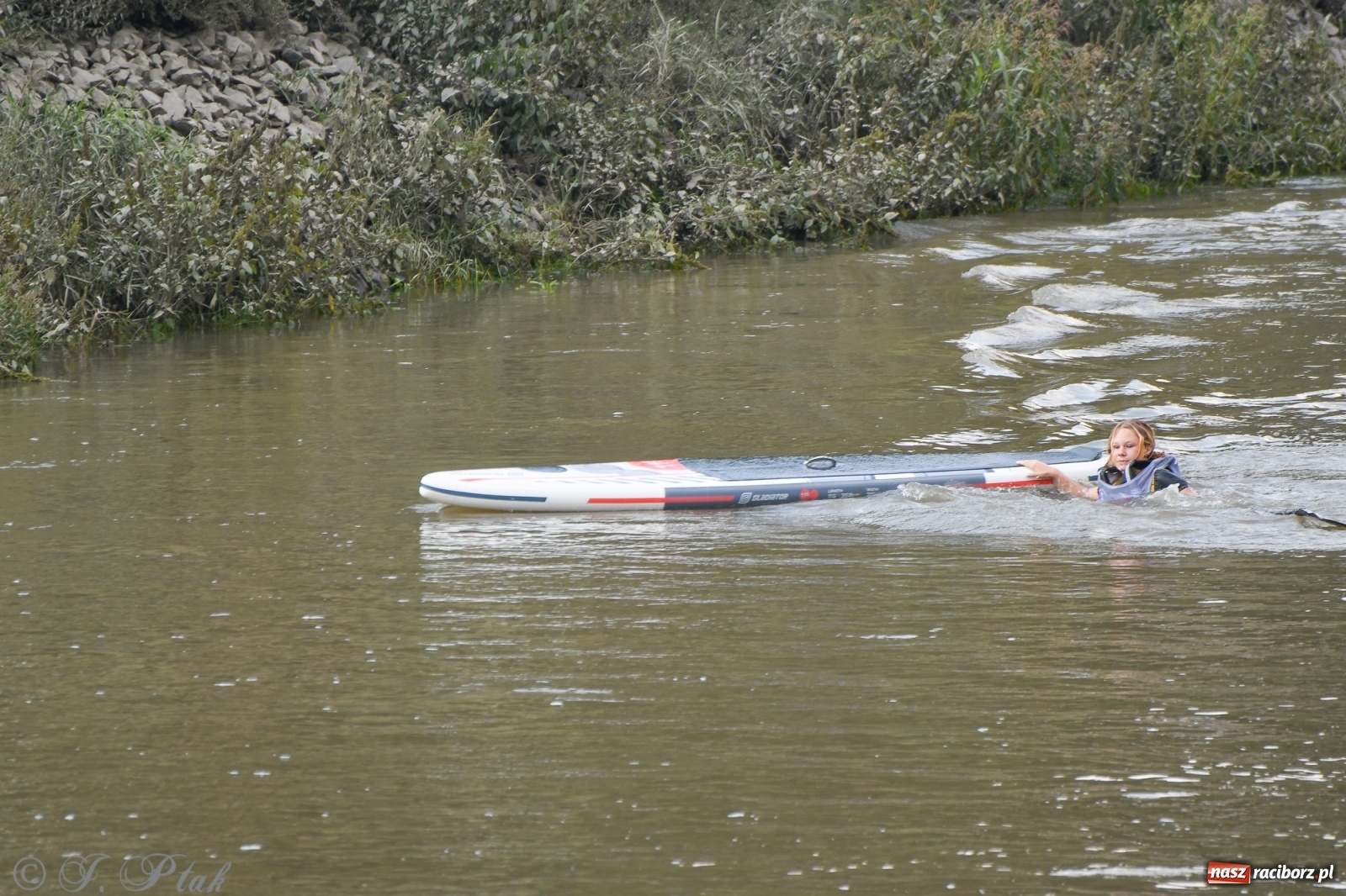 Zdjęcie w galerii na portalu naszraciborz.pl: Odra SUP CUP 2022 finałem Pucharu Polski wiadomości z regionu
