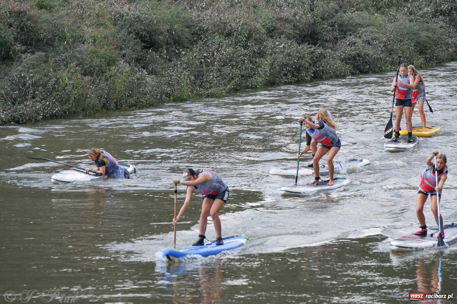 Zdjęcie w galerii na portalu naszraciborz.pl: Odra SUP CUP 2022 finałem Pucharu Polski wiadomości z regionu