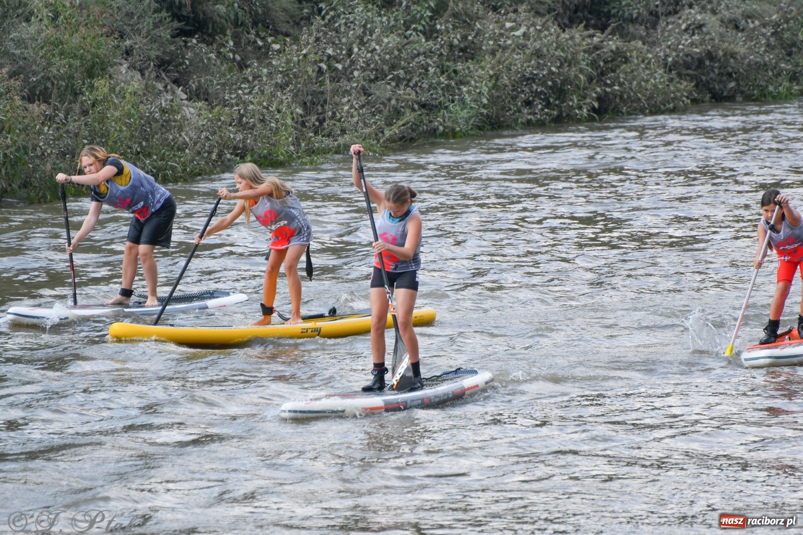 Zdjęcie w galerii na portalu naszraciborz.pl: Odra SUP CUP 2022 finałem Pucharu Polski wiadomości z regionu