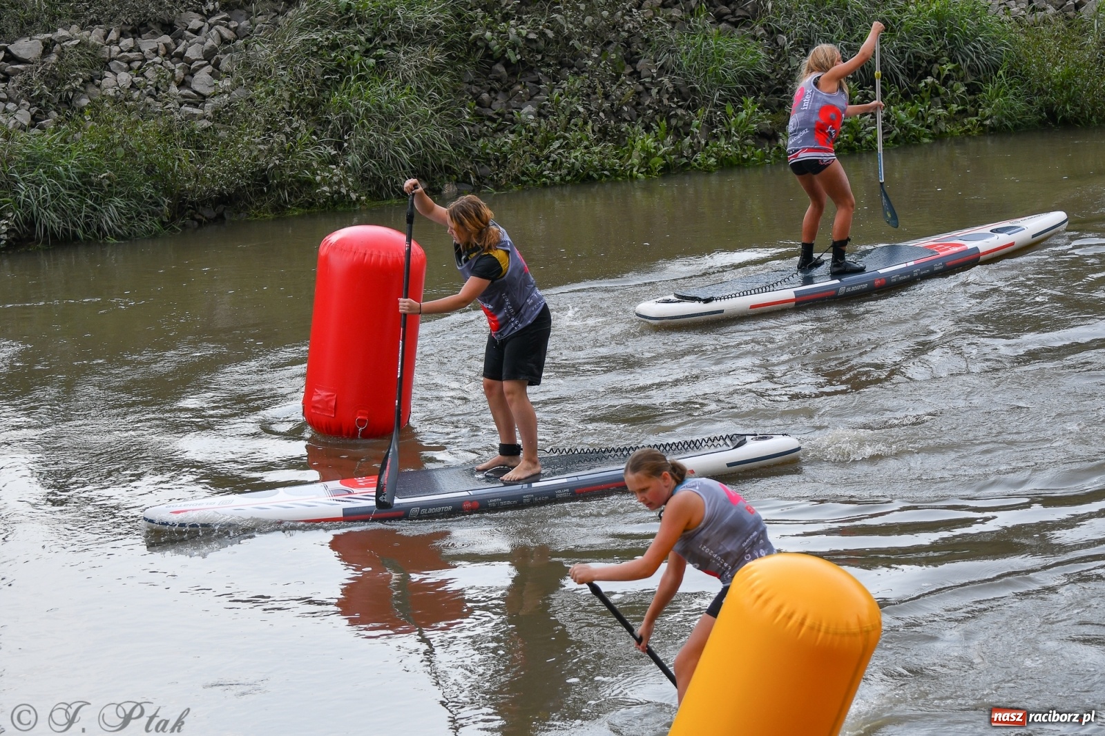 Zdjęcie w galerii na portalu naszraciborz.pl: Odra SUP CUP 2022 finałem Pucharu Polski wiadomości z regionu